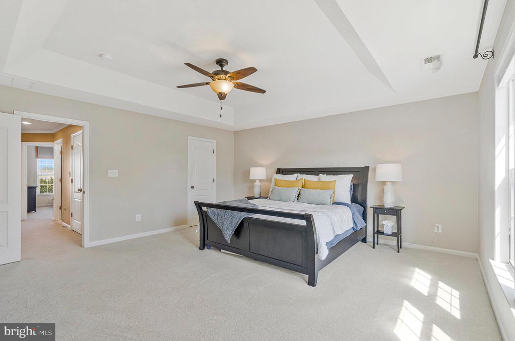 25168 FLUVIAL TERRACE