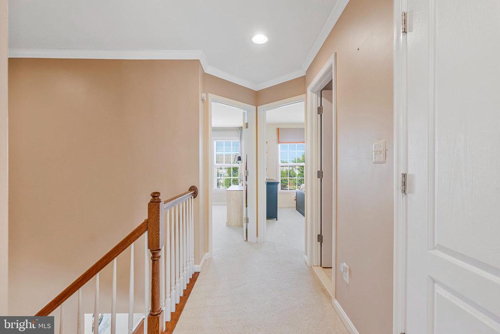 25168 FLUVIAL TERRACE