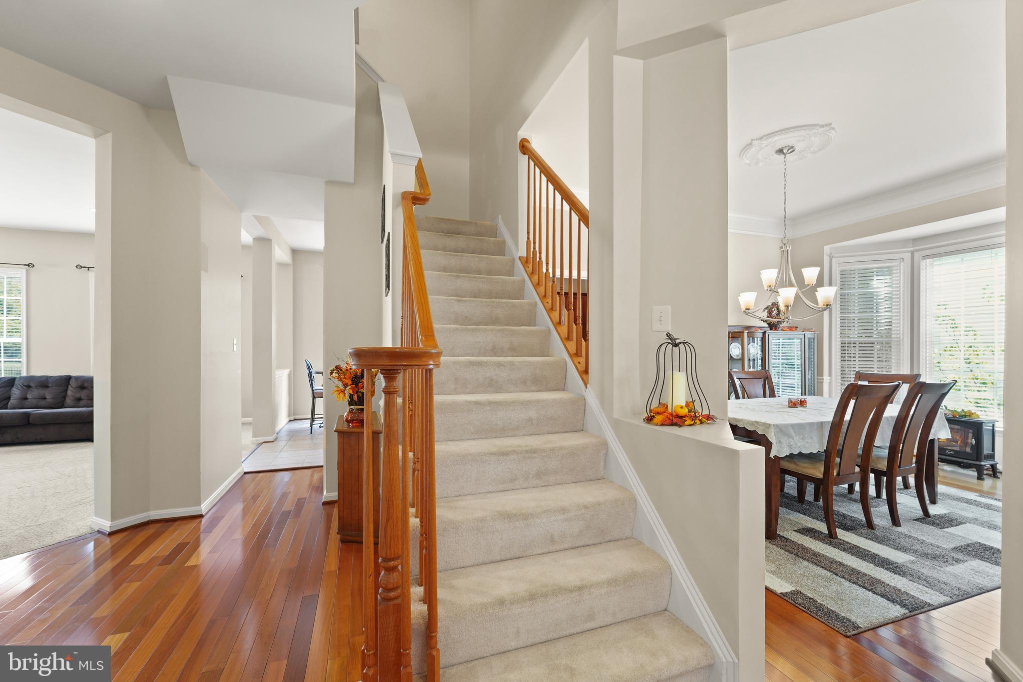 19296 CREEK FIELD CIRCLE