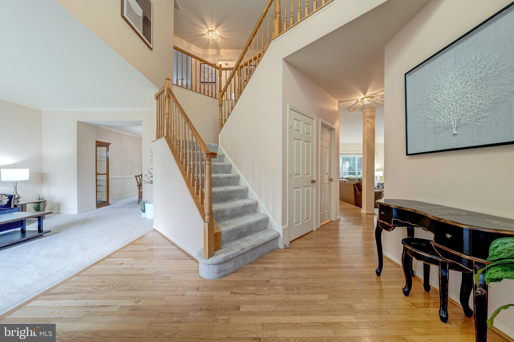 21376 CLAPPERTOWN DRIVE