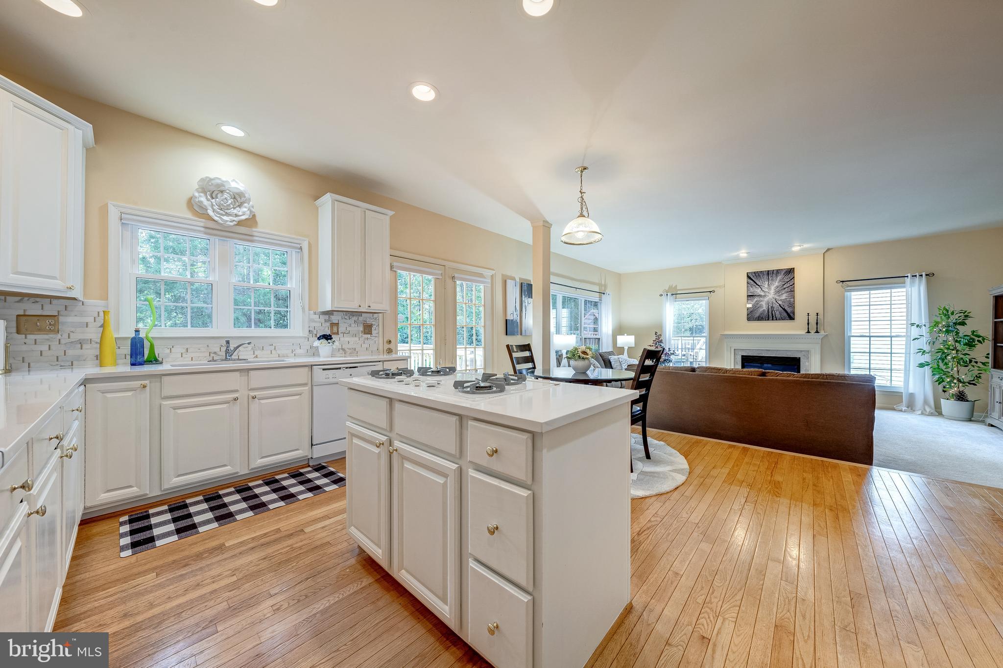 21376 CLAPPERTOWN DRIVE