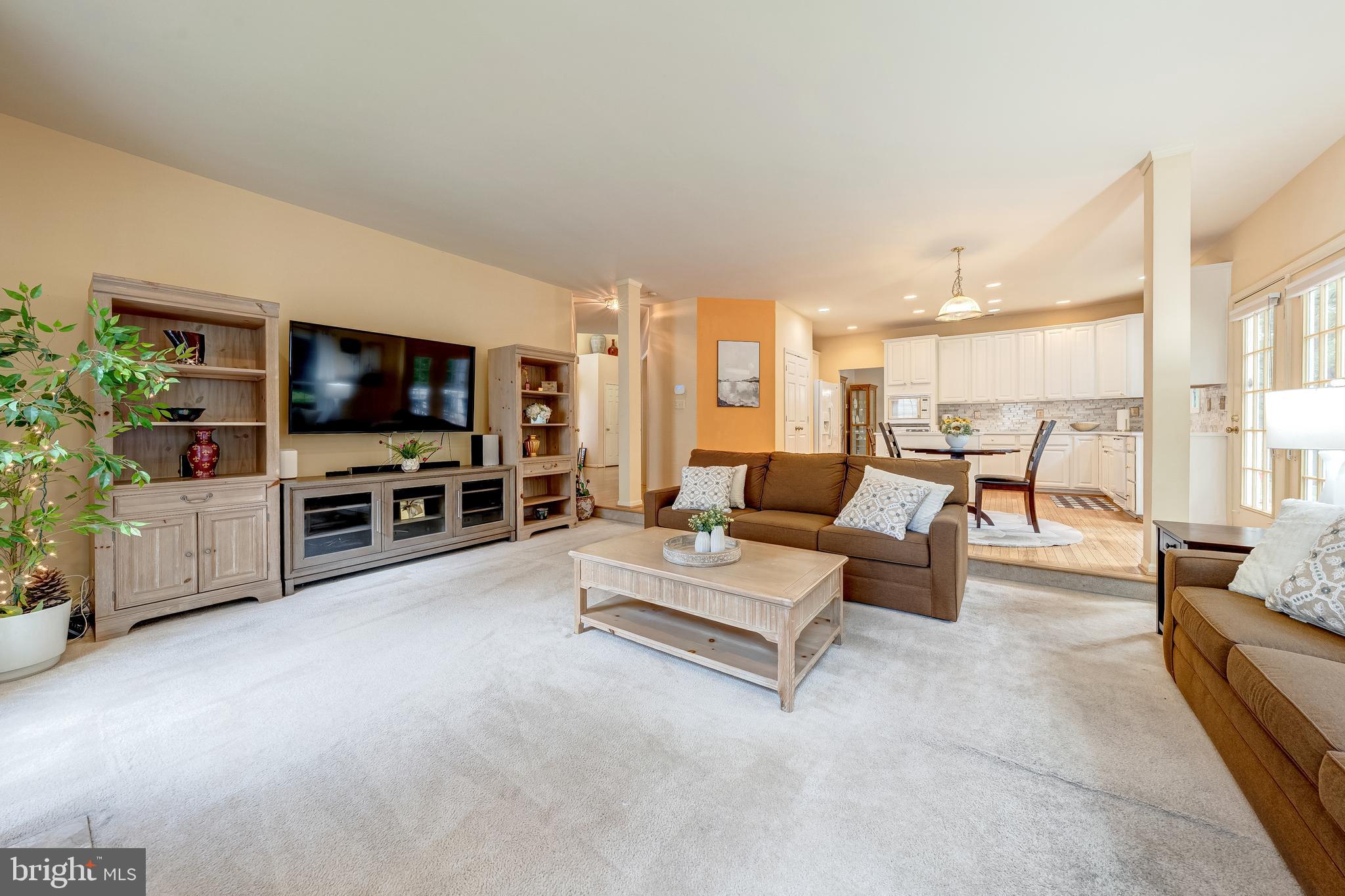 21376 CLAPPERTOWN DRIVE