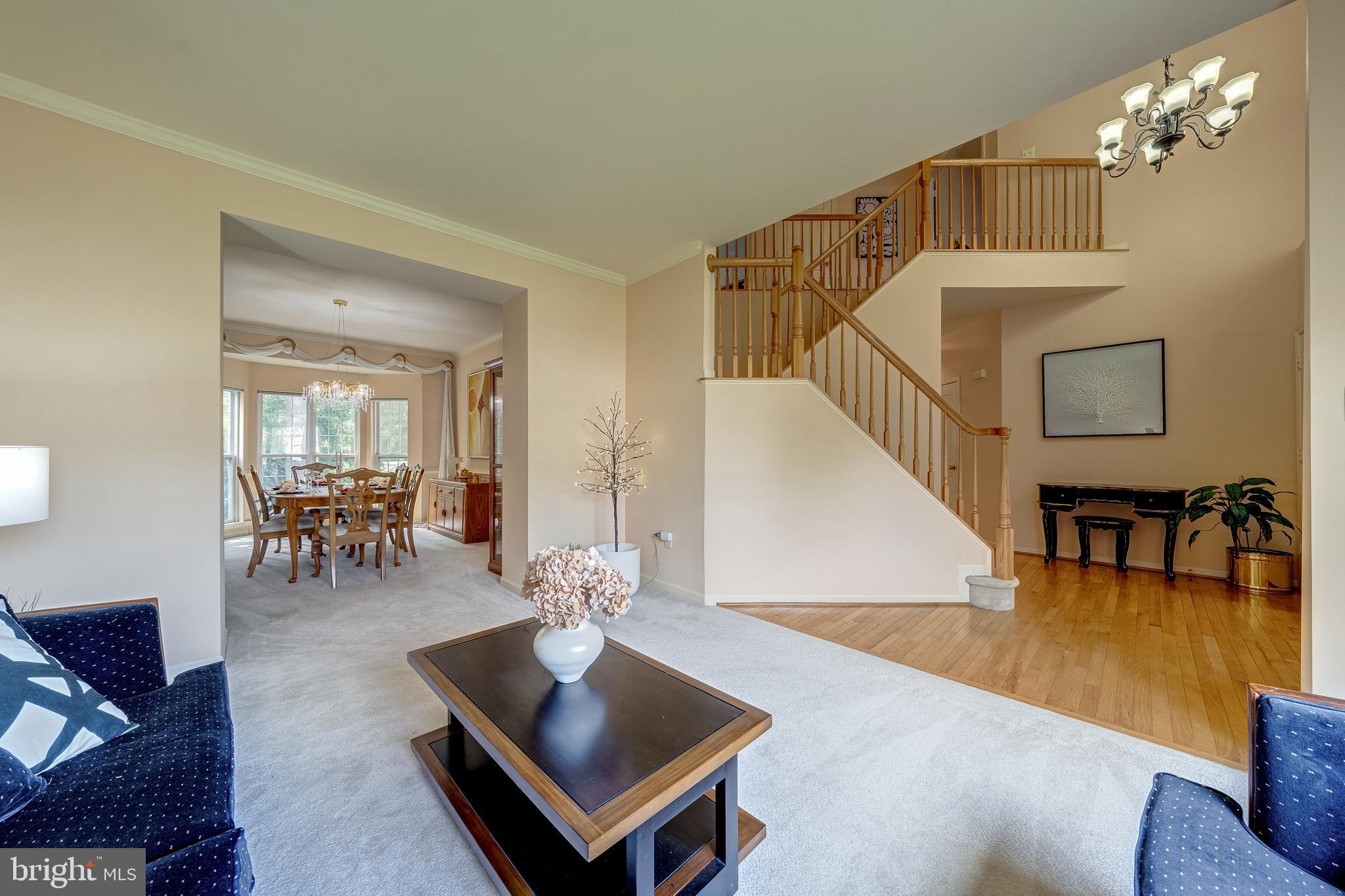 21376 CLAPPERTOWN DRIVE