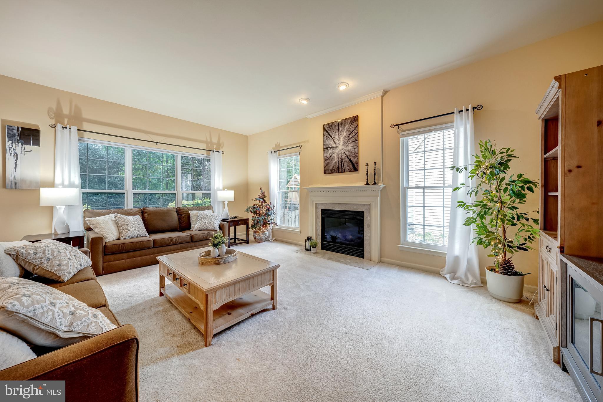 21376 CLAPPERTOWN DRIVE