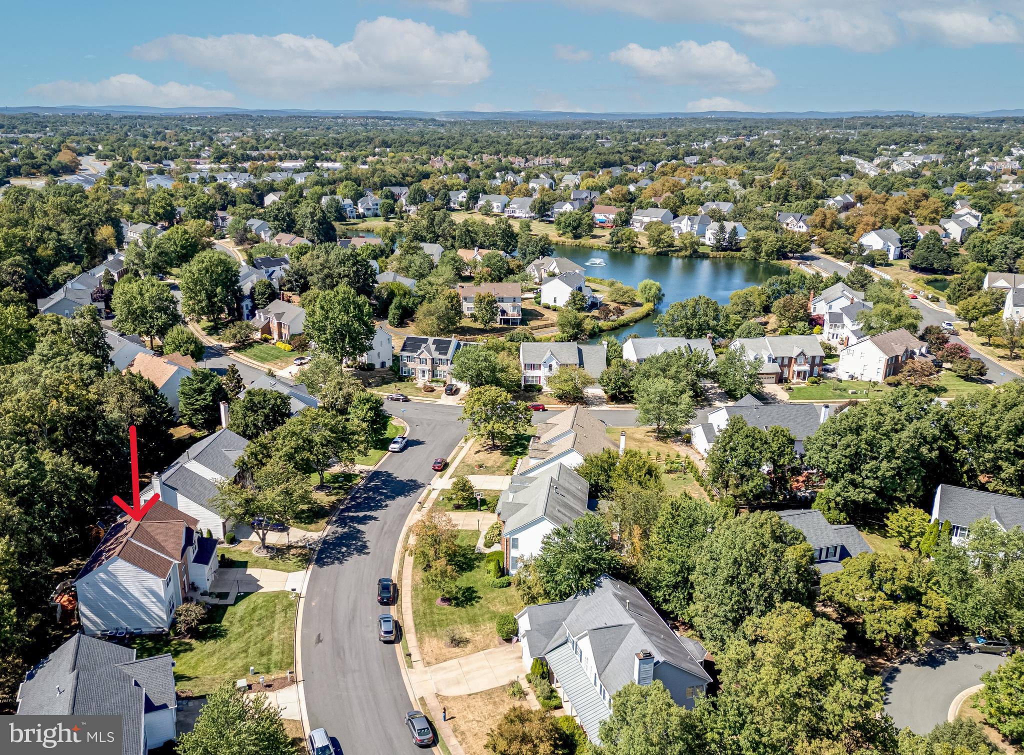 21376 CLAPPERTOWN DRIVE