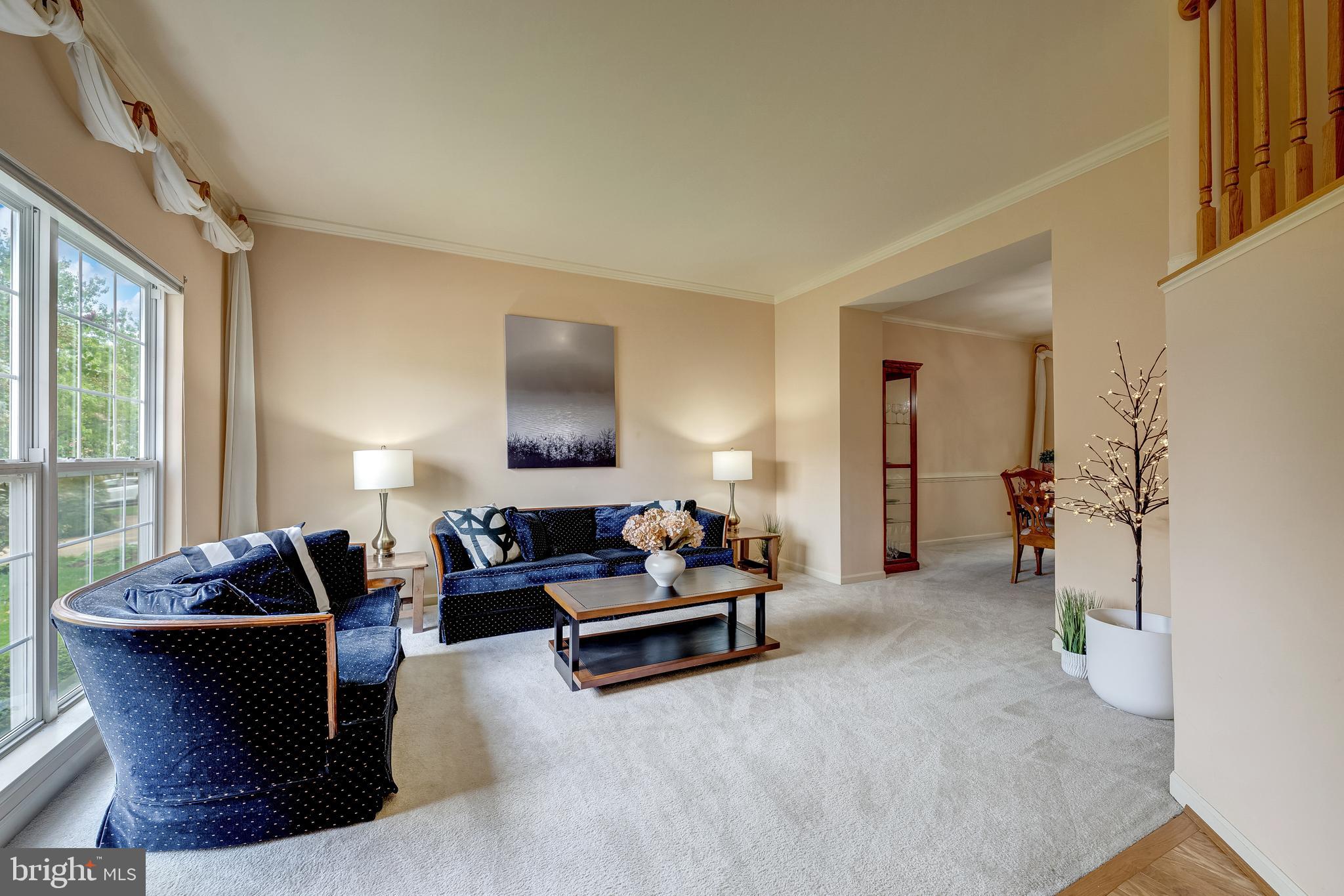 21376 CLAPPERTOWN DRIVE