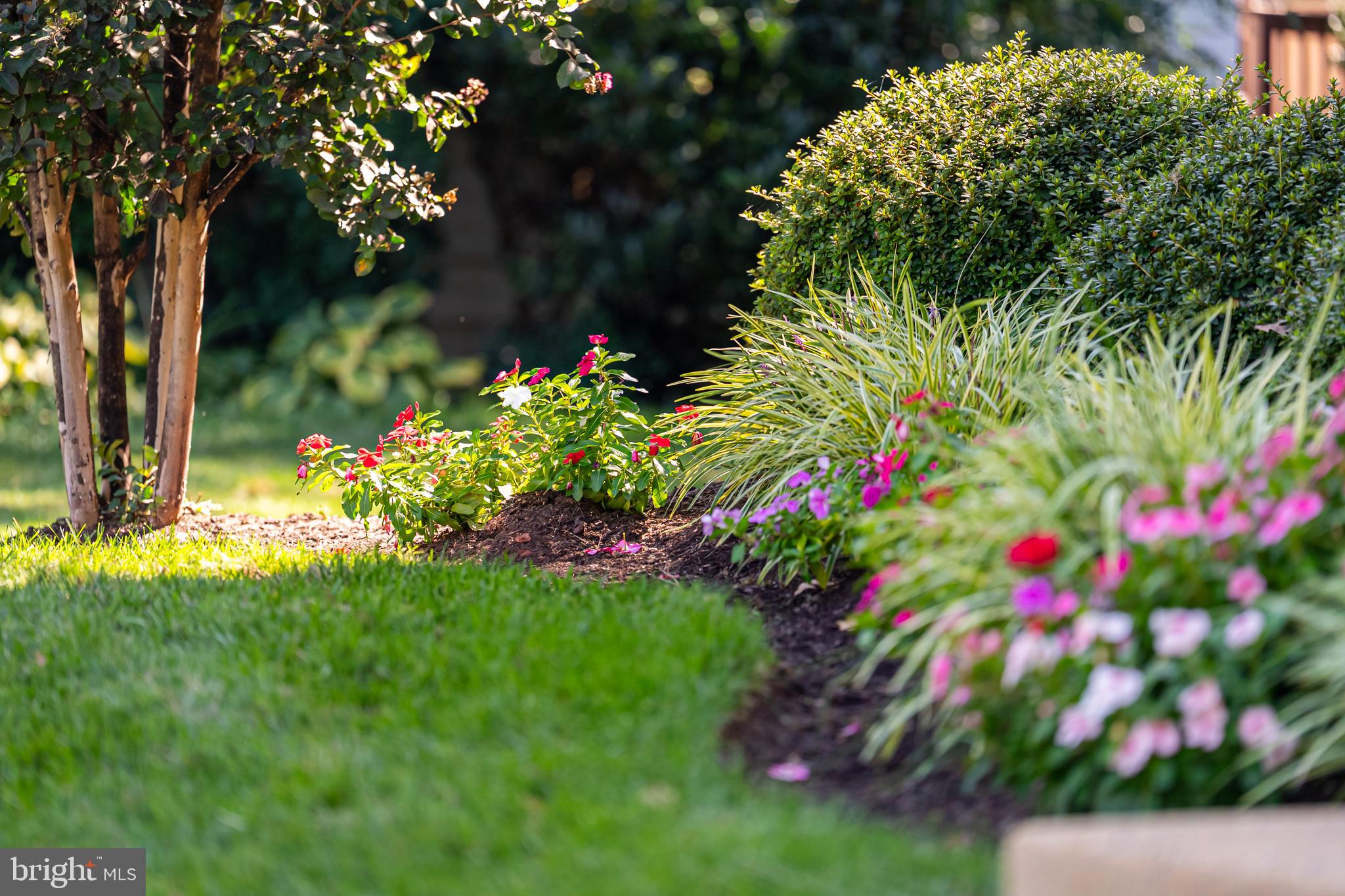 21376 CLAPPERTOWN DRIVE