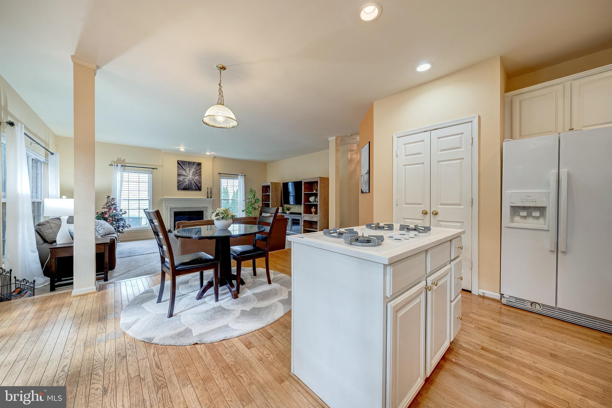 21376 CLAPPERTOWN DRIVE