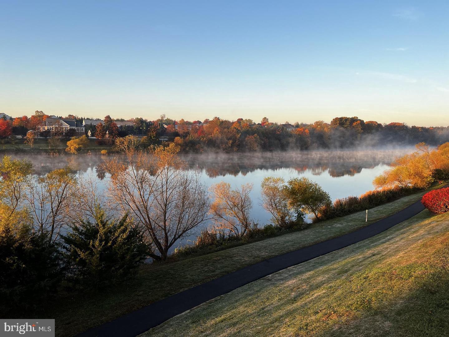 21376 CLAPPERTOWN DRIVE