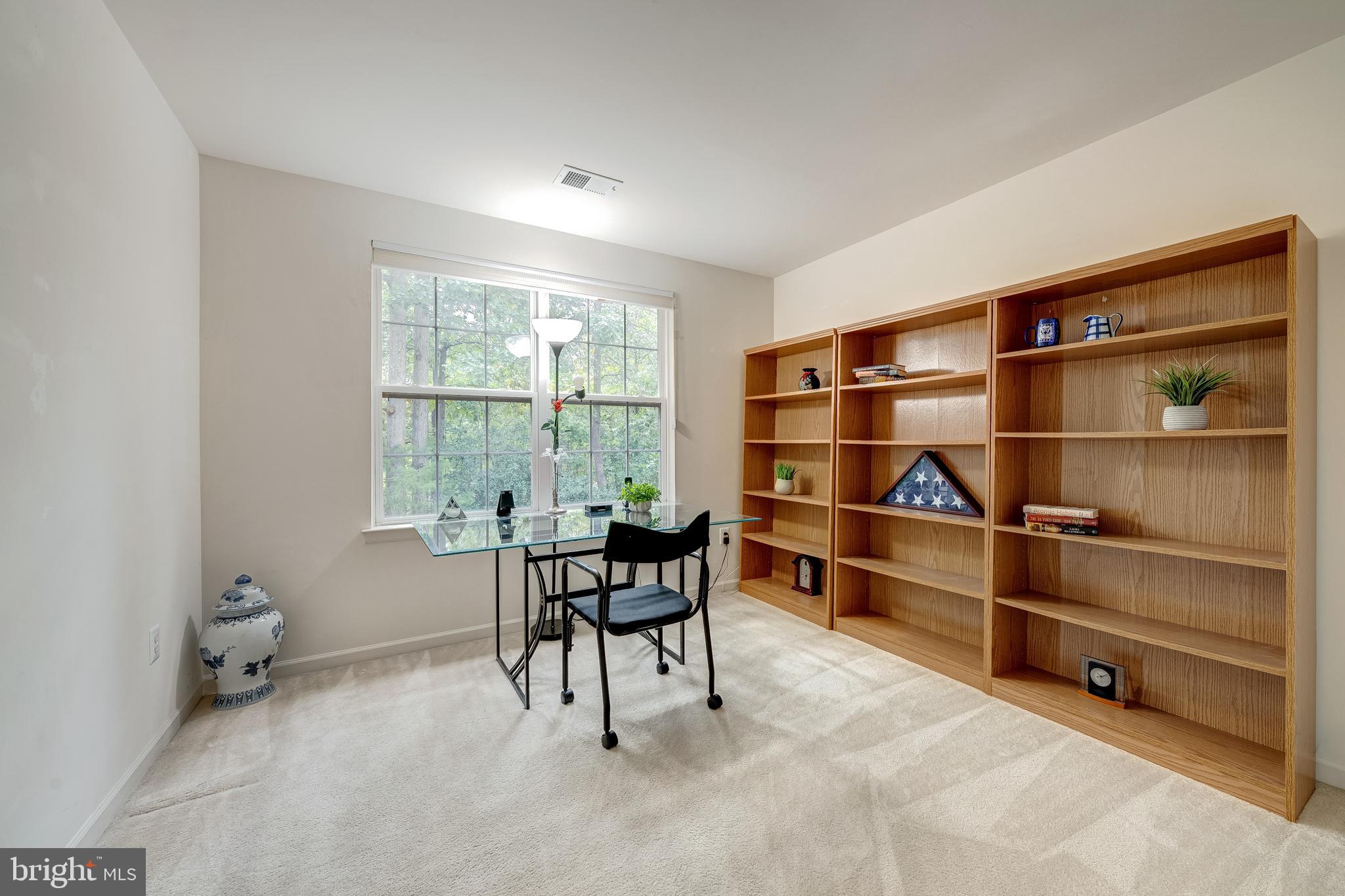 21376 CLAPPERTOWN DRIVE