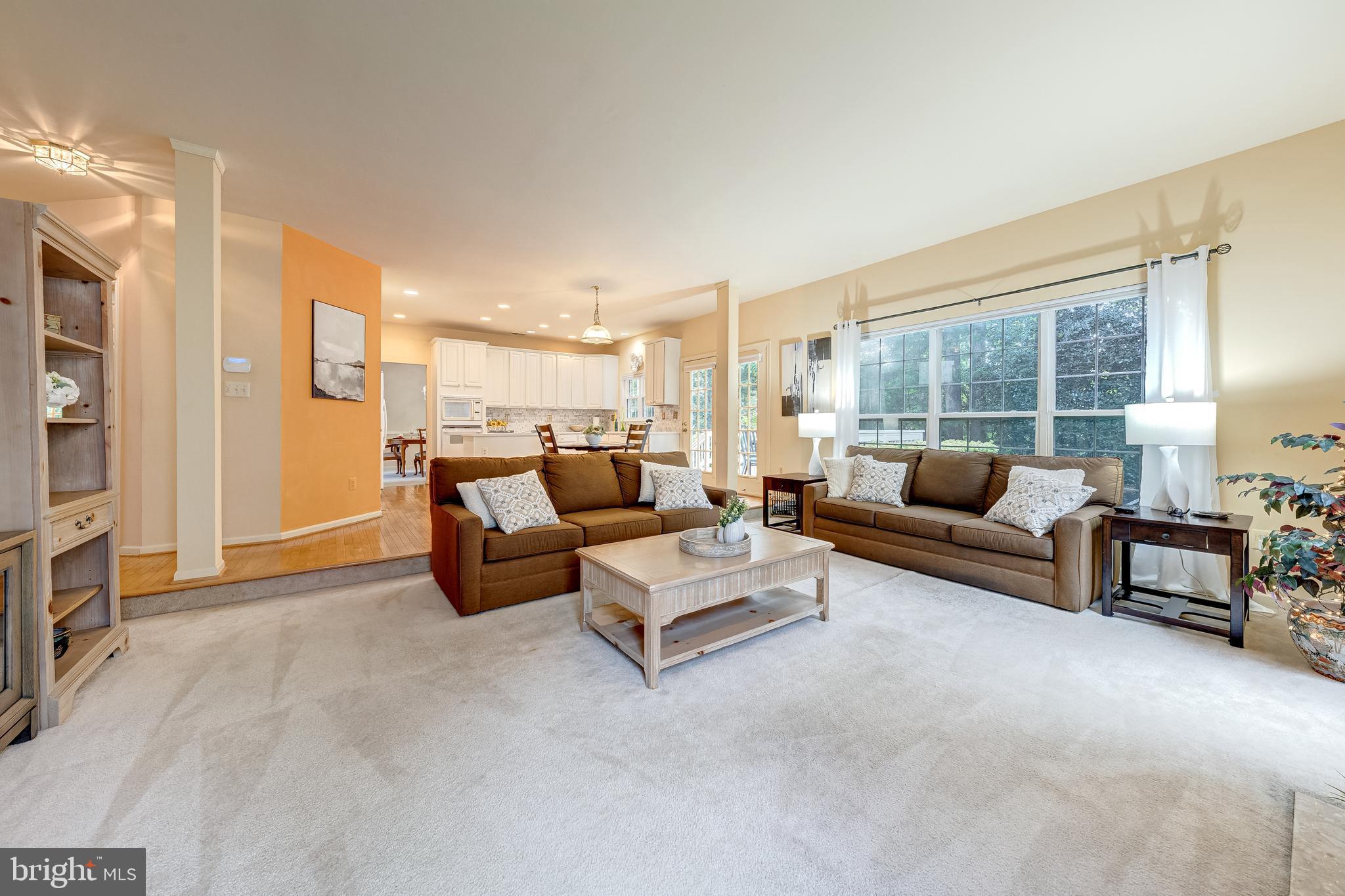 21376 CLAPPERTOWN DRIVE