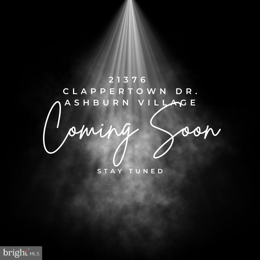 21376 CLAPPERTOWN DRIVE