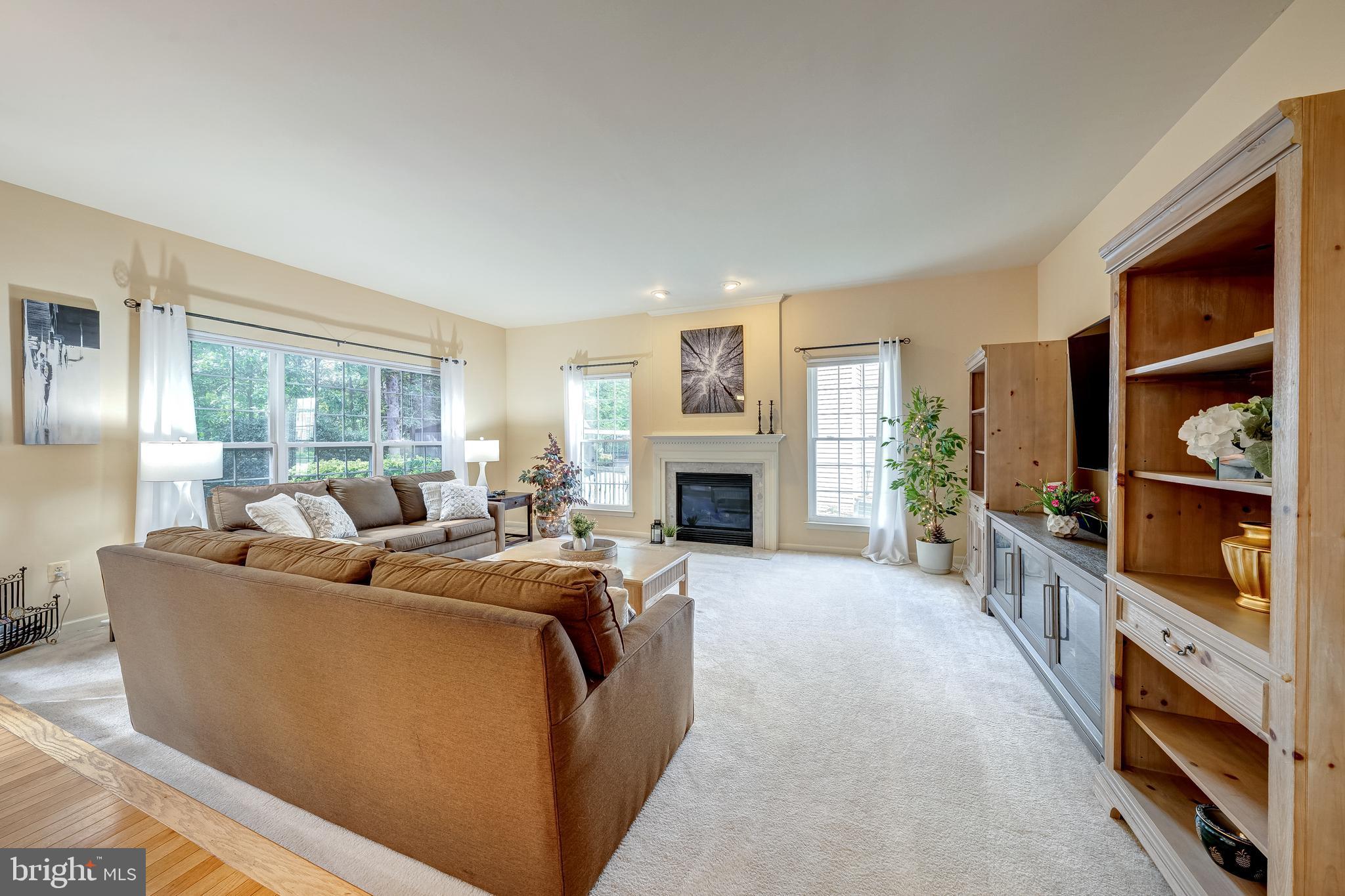 21376 CLAPPERTOWN DRIVE