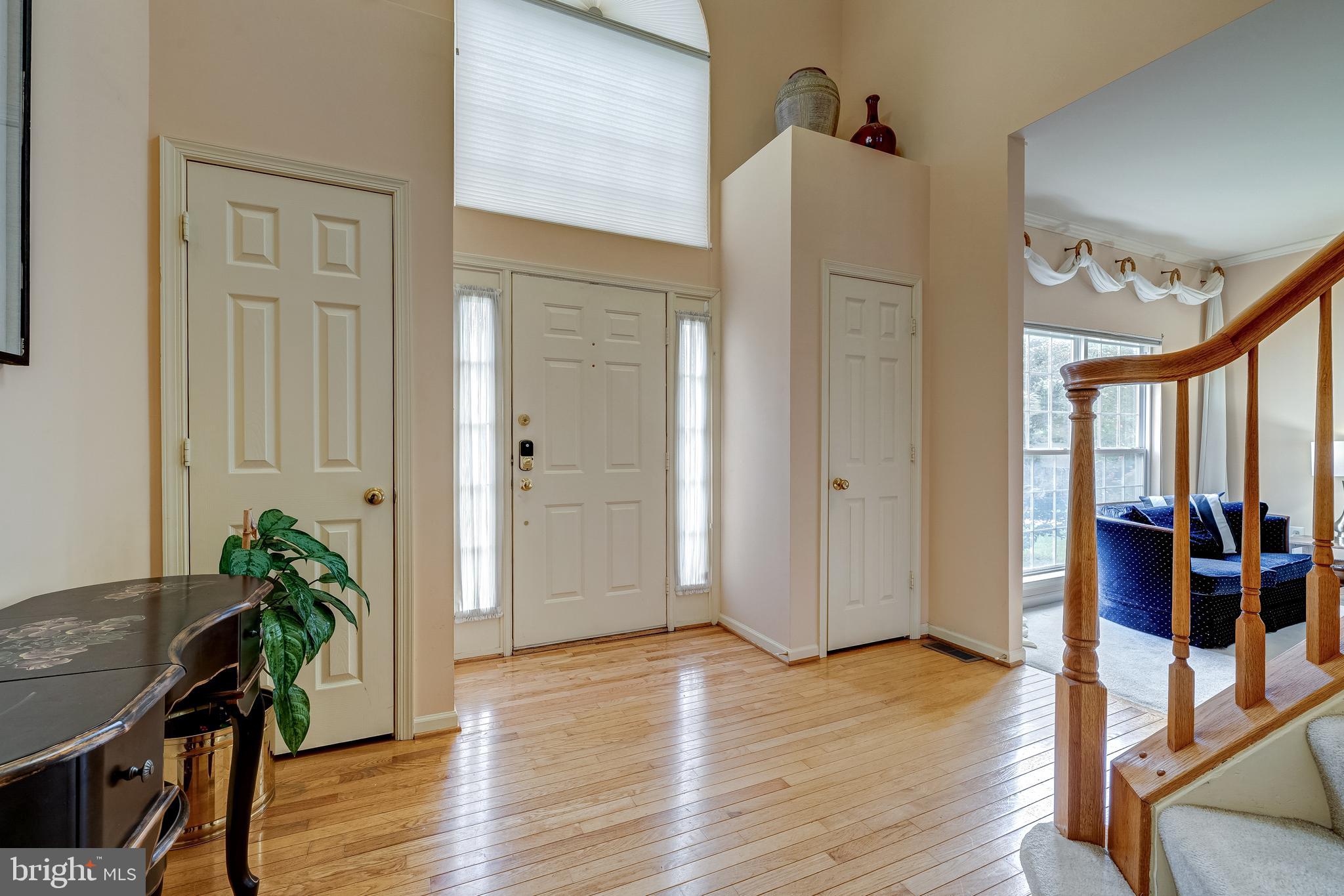 21376 CLAPPERTOWN DRIVE