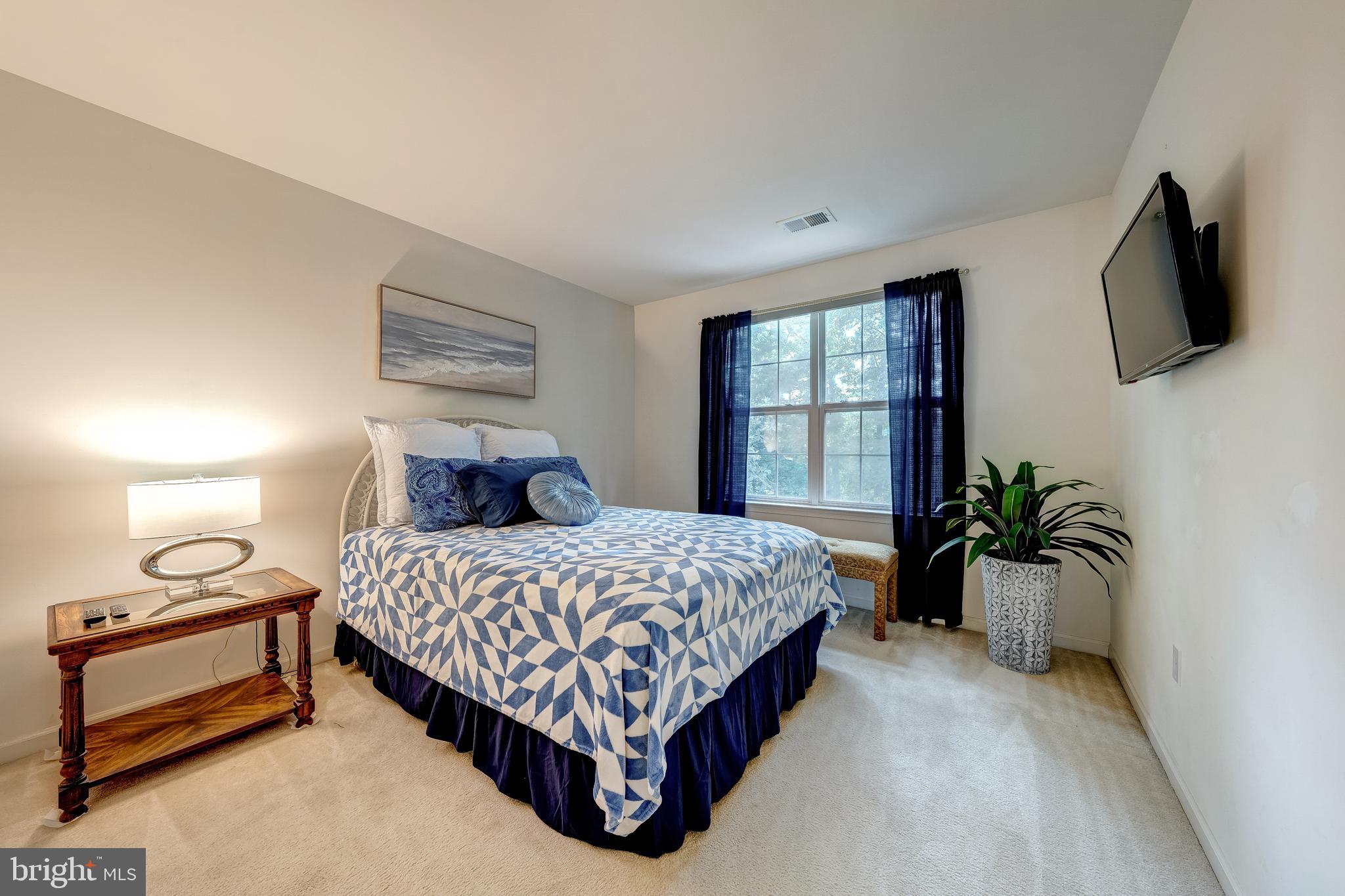 21376 CLAPPERTOWN DRIVE