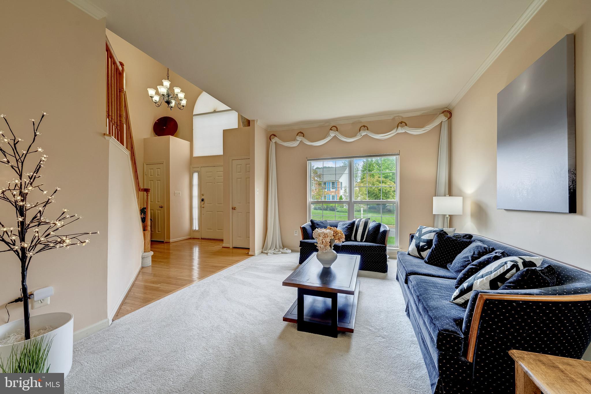 21376 CLAPPERTOWN DRIVE