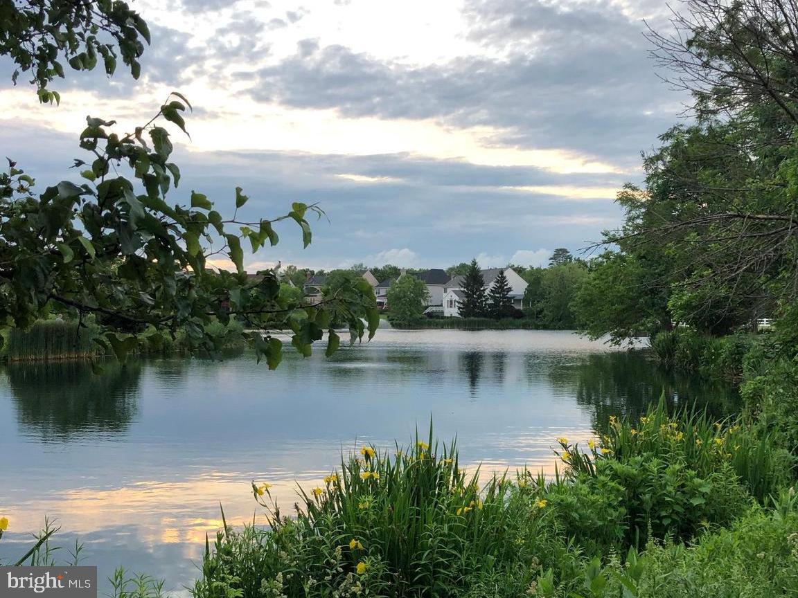 21376 CLAPPERTOWN DRIVE