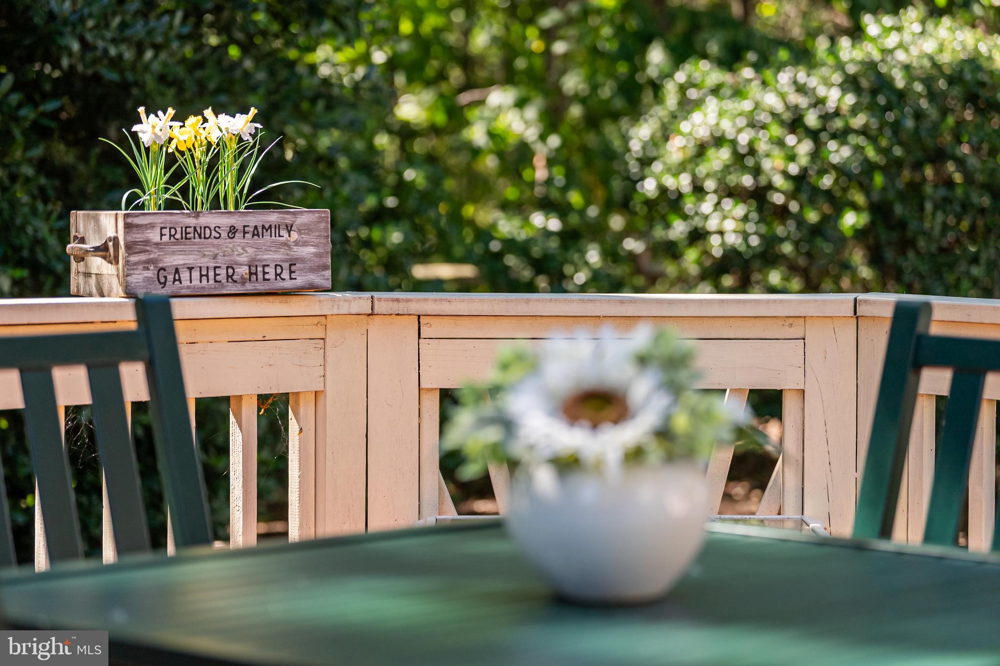 21376 CLAPPERTOWN DRIVE