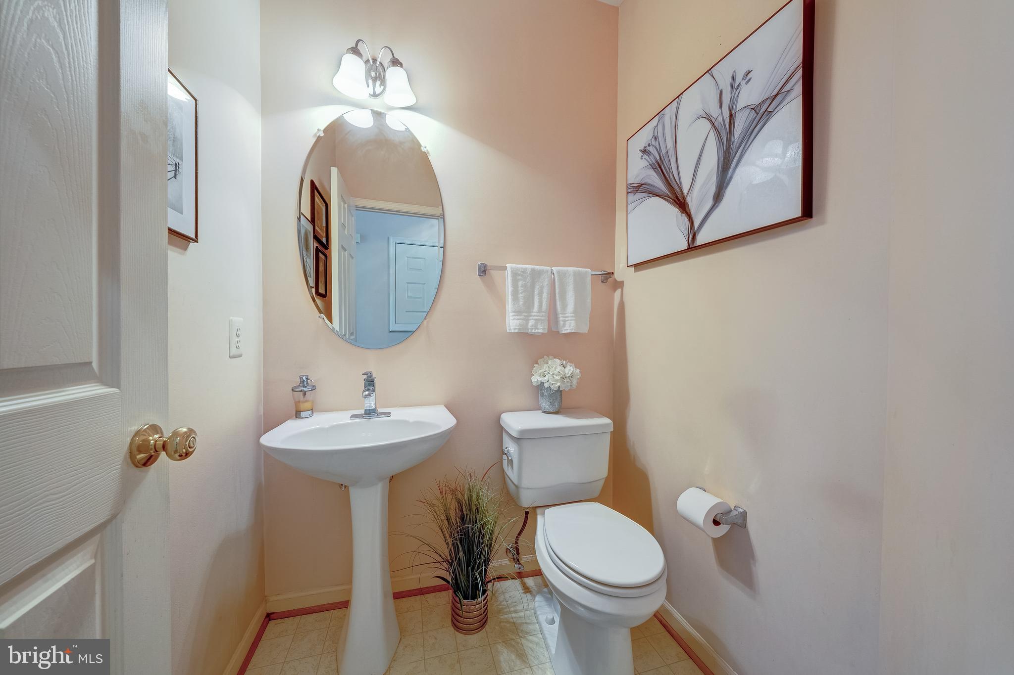 21376 CLAPPERTOWN DRIVE