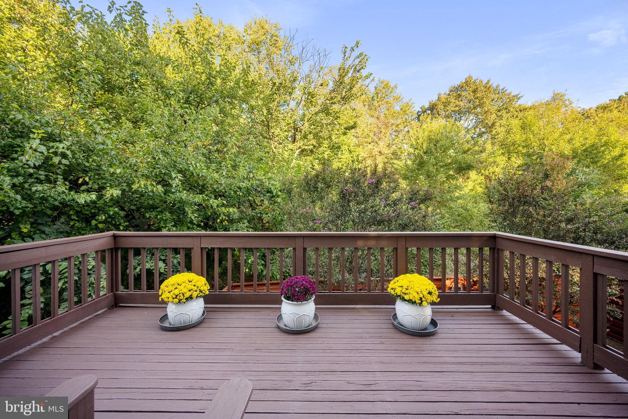 21113 CROCUS TERRACE