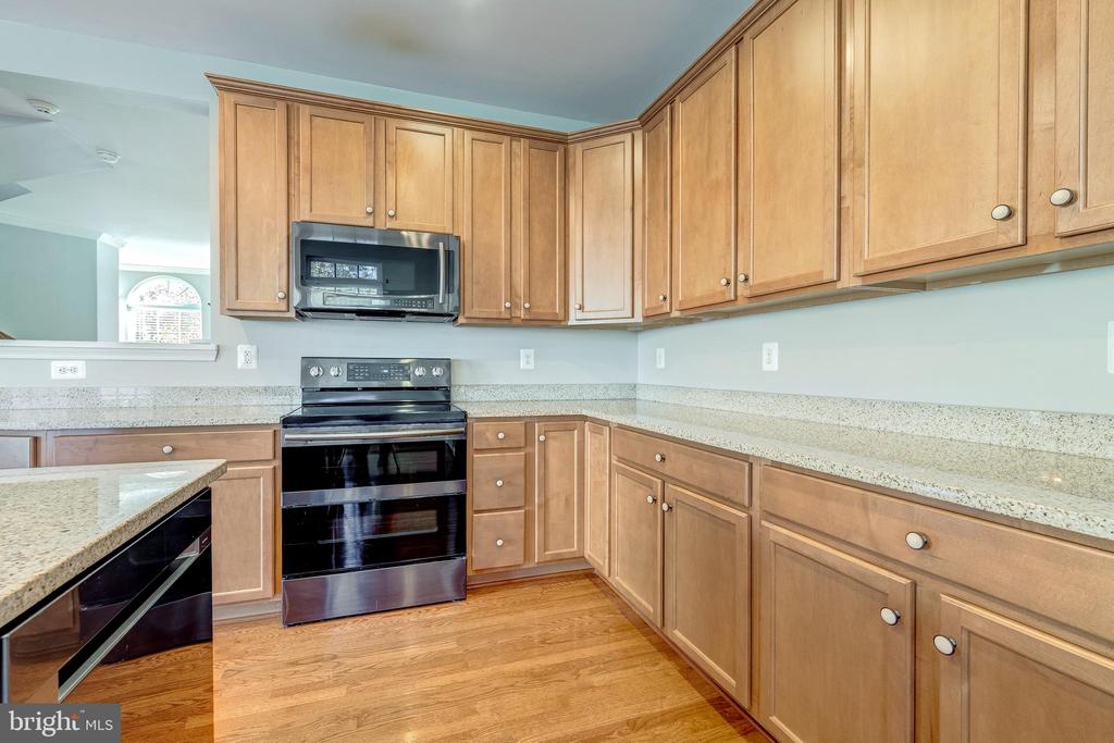 43022 SPYDER PLACE