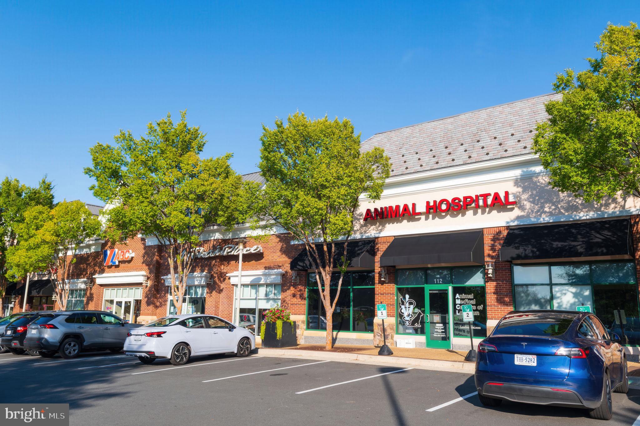 22706 BLUE ELDER TERRACE 304