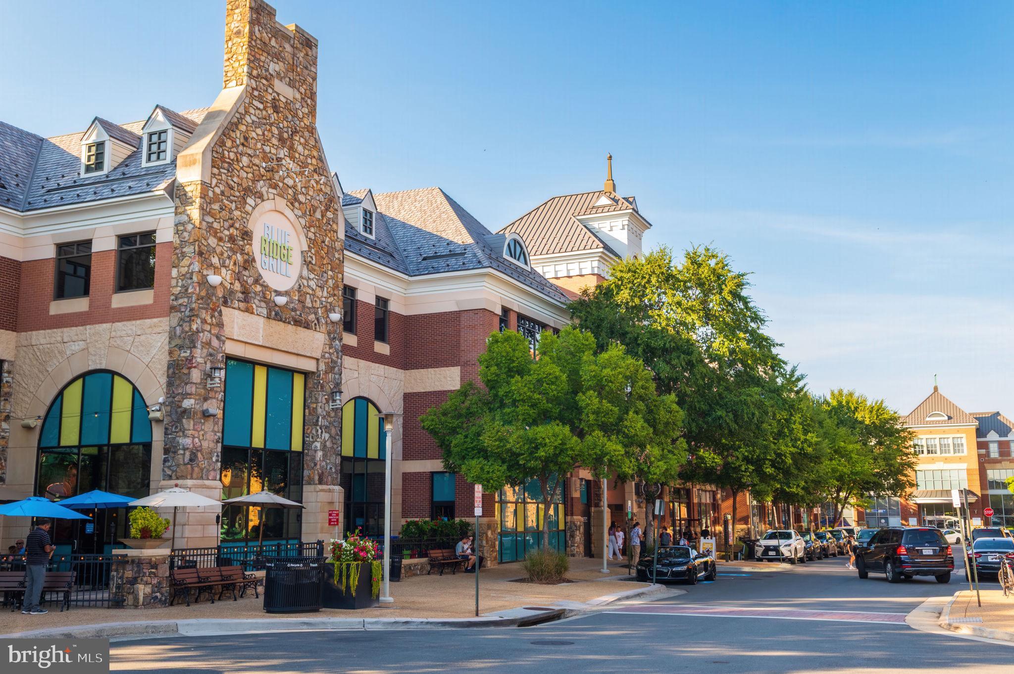 22706 BLUE ELDER TERRACE 304