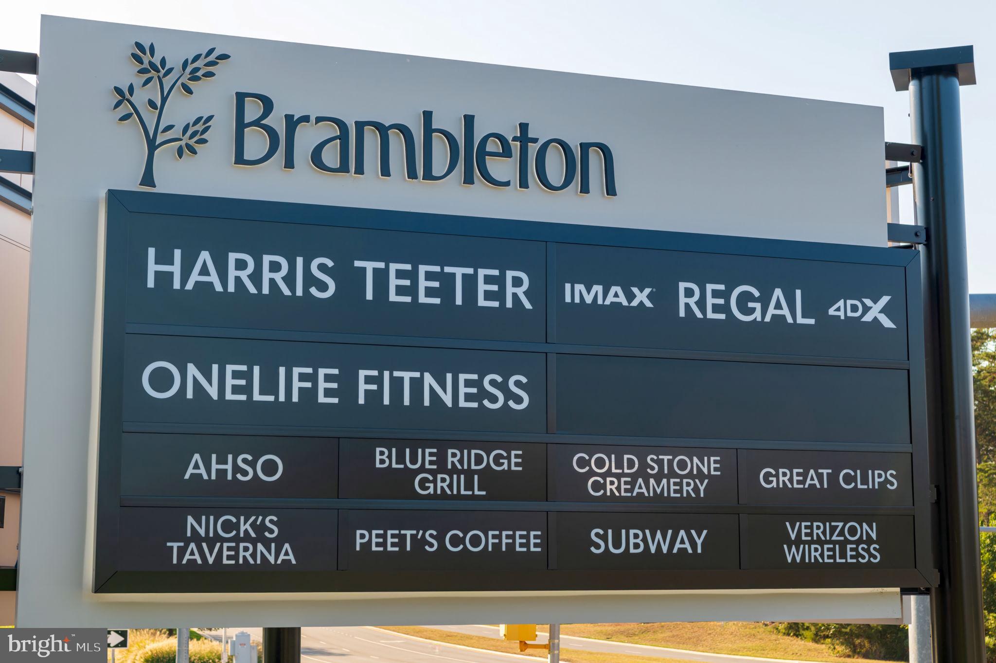 22706 BLUE ELDER TERRACE 304