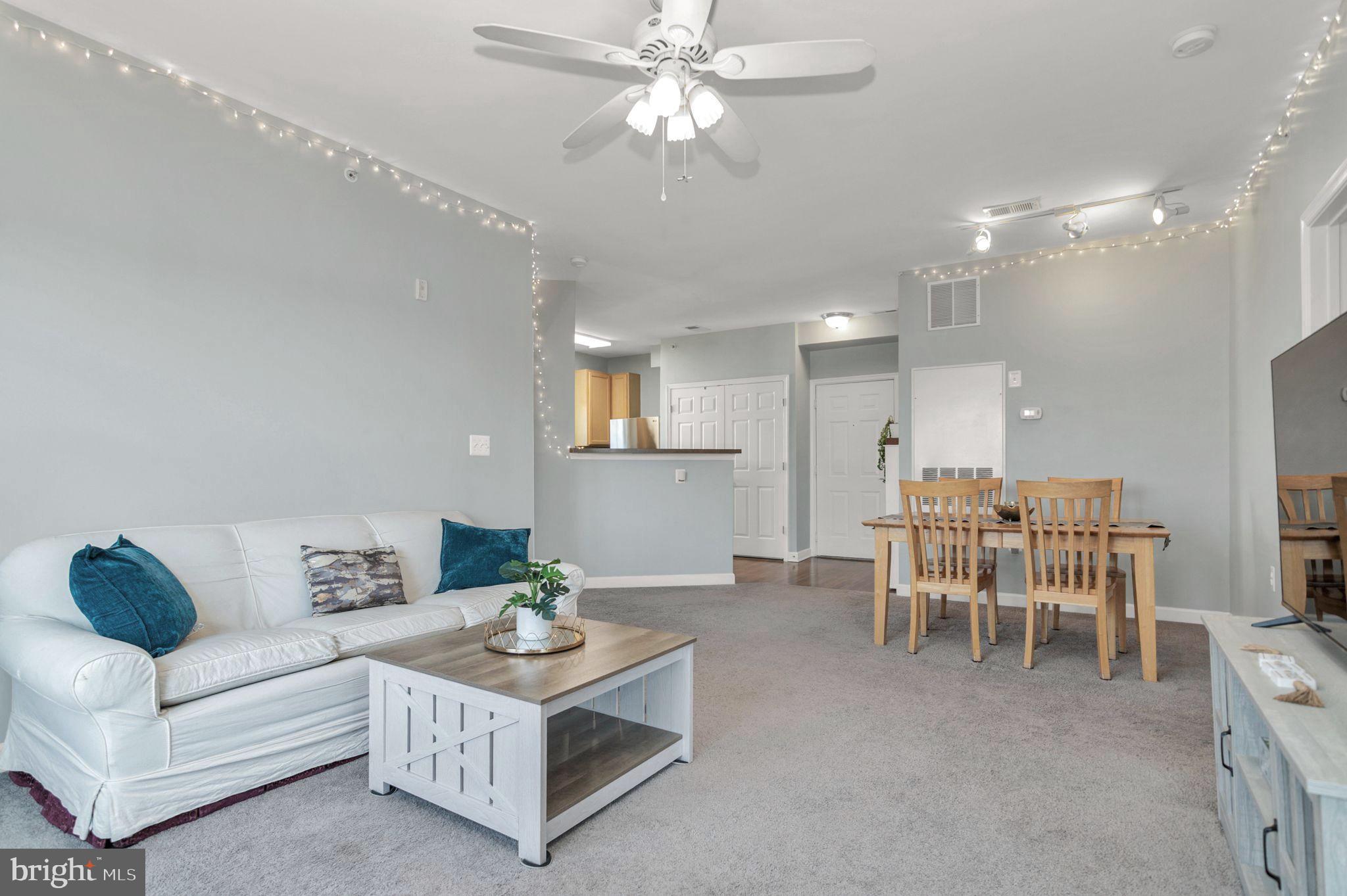 22706 BLUE ELDER TERRACE 304