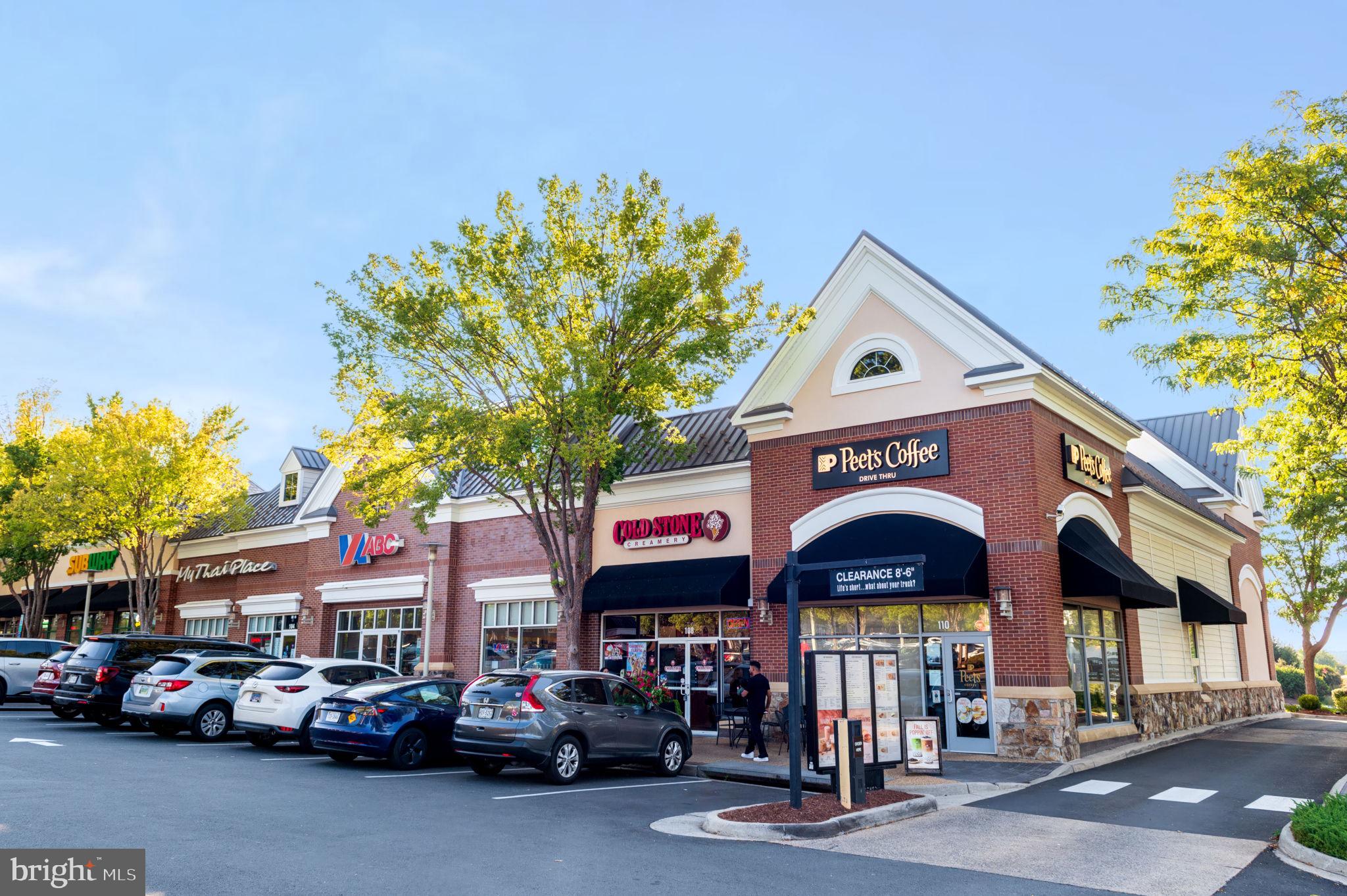 22706 BLUE ELDER TERRACE 304