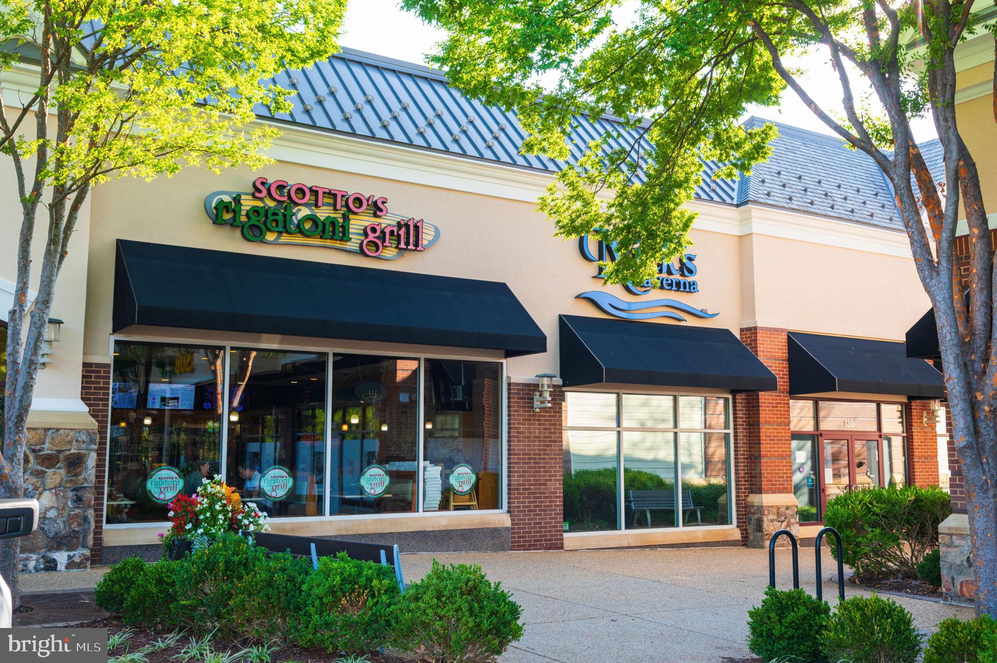 22706 BLUE ELDER TERRACE 304