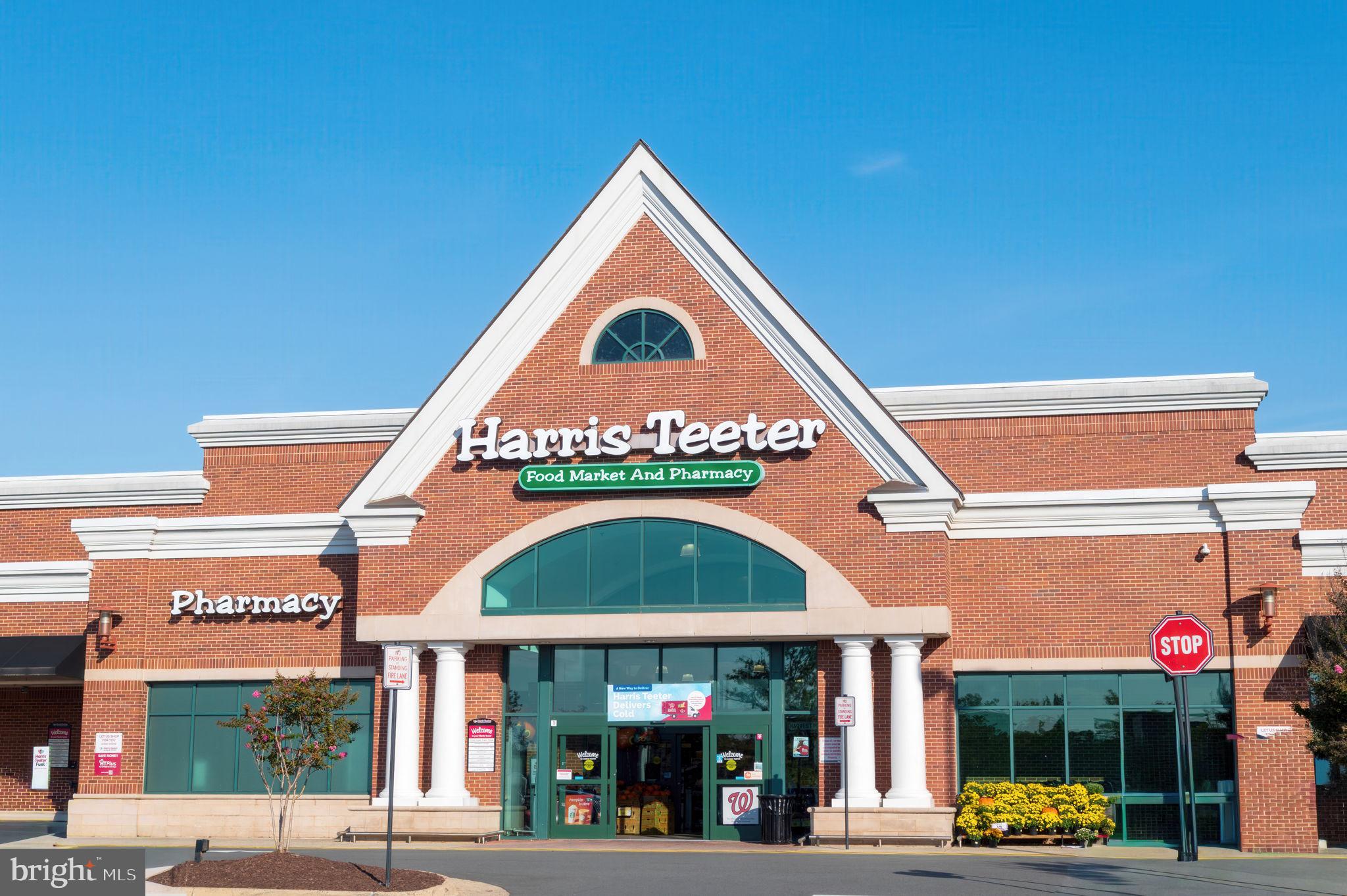 22706 BLUE ELDER TERRACE 304