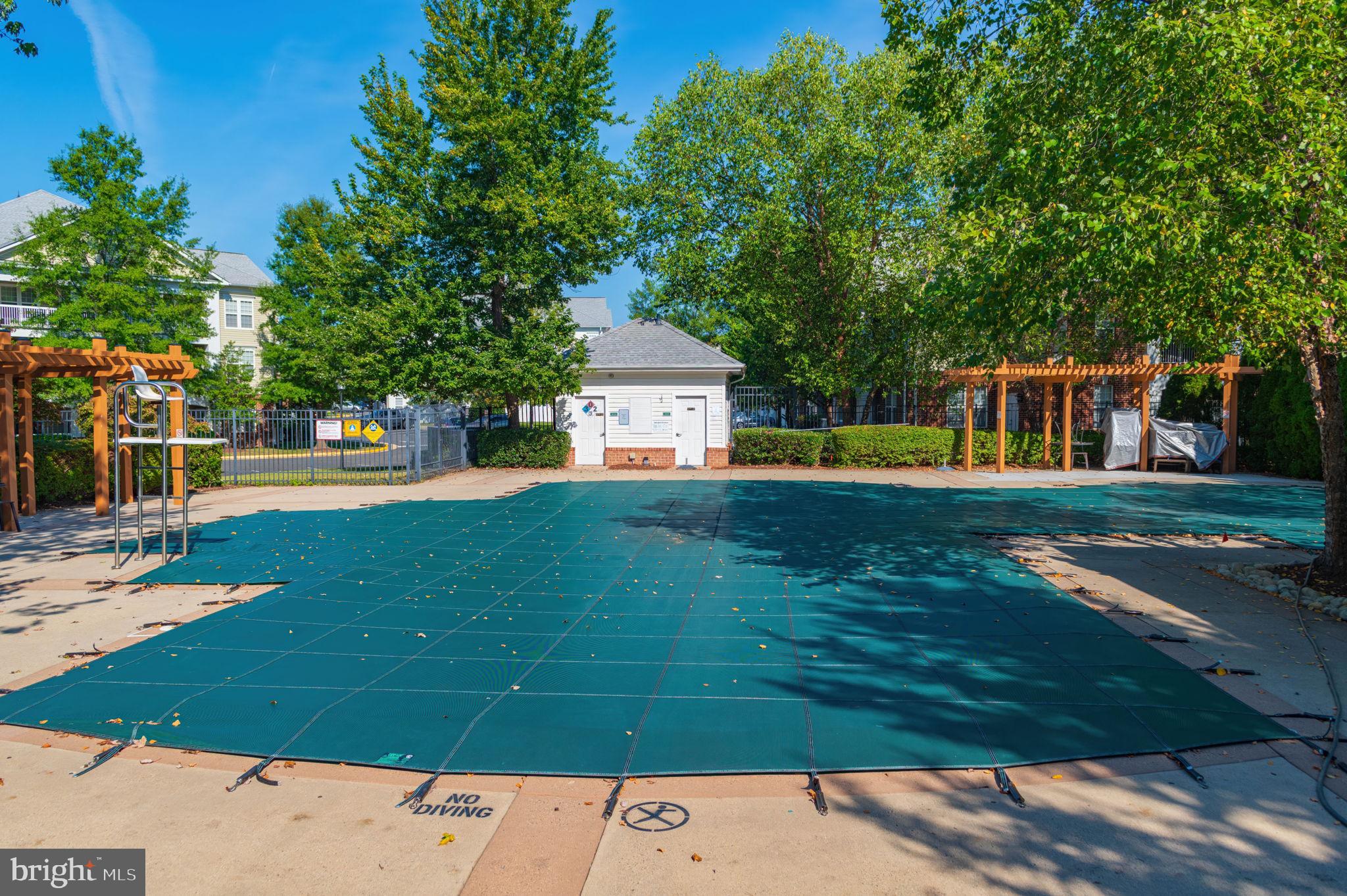 22706 BLUE ELDER TERRACE 304