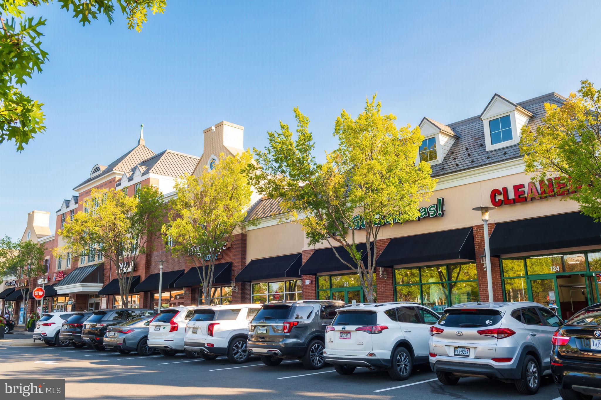 22706 BLUE ELDER TERRACE 304