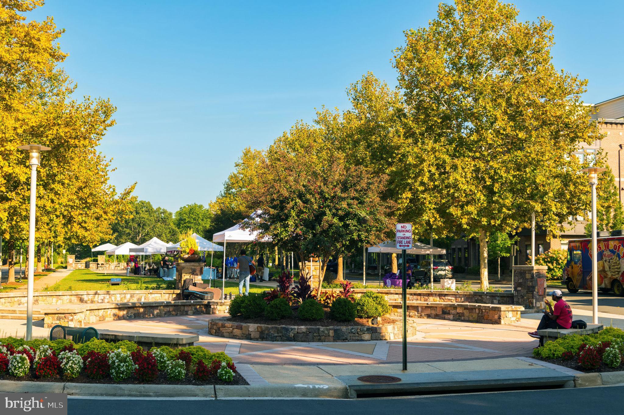 22706 BLUE ELDER TERRACE 304