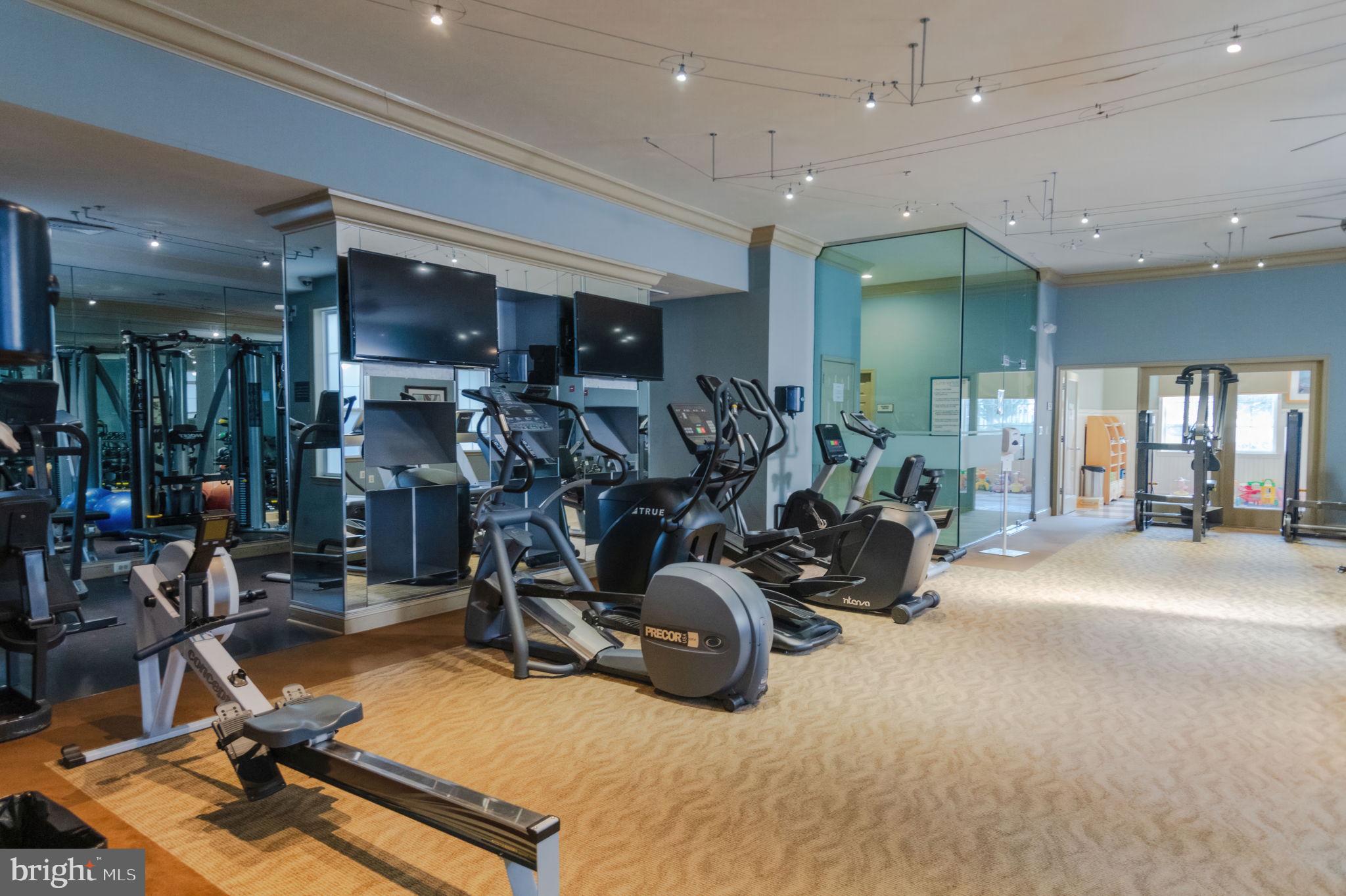 22706 BLUE ELDER TERRACE 304