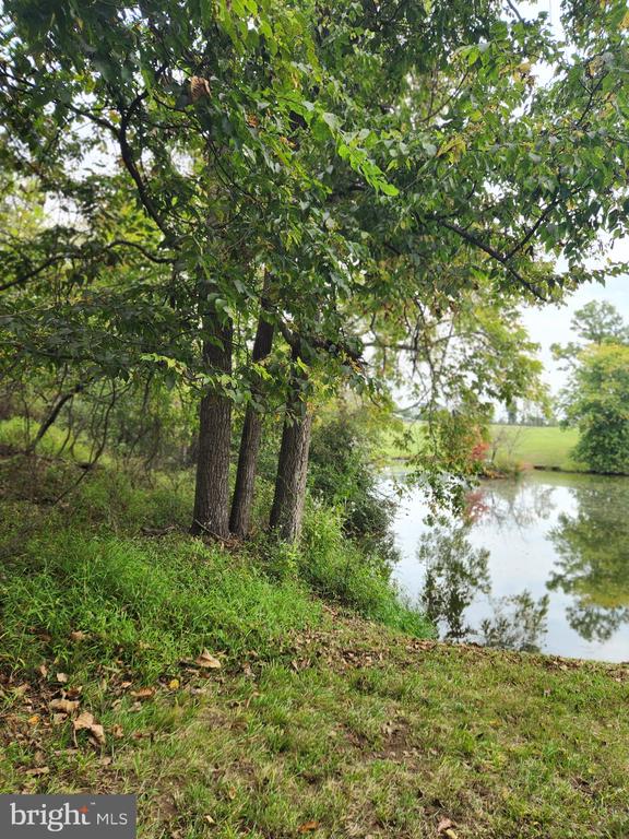 SILCOTT SPRINGS