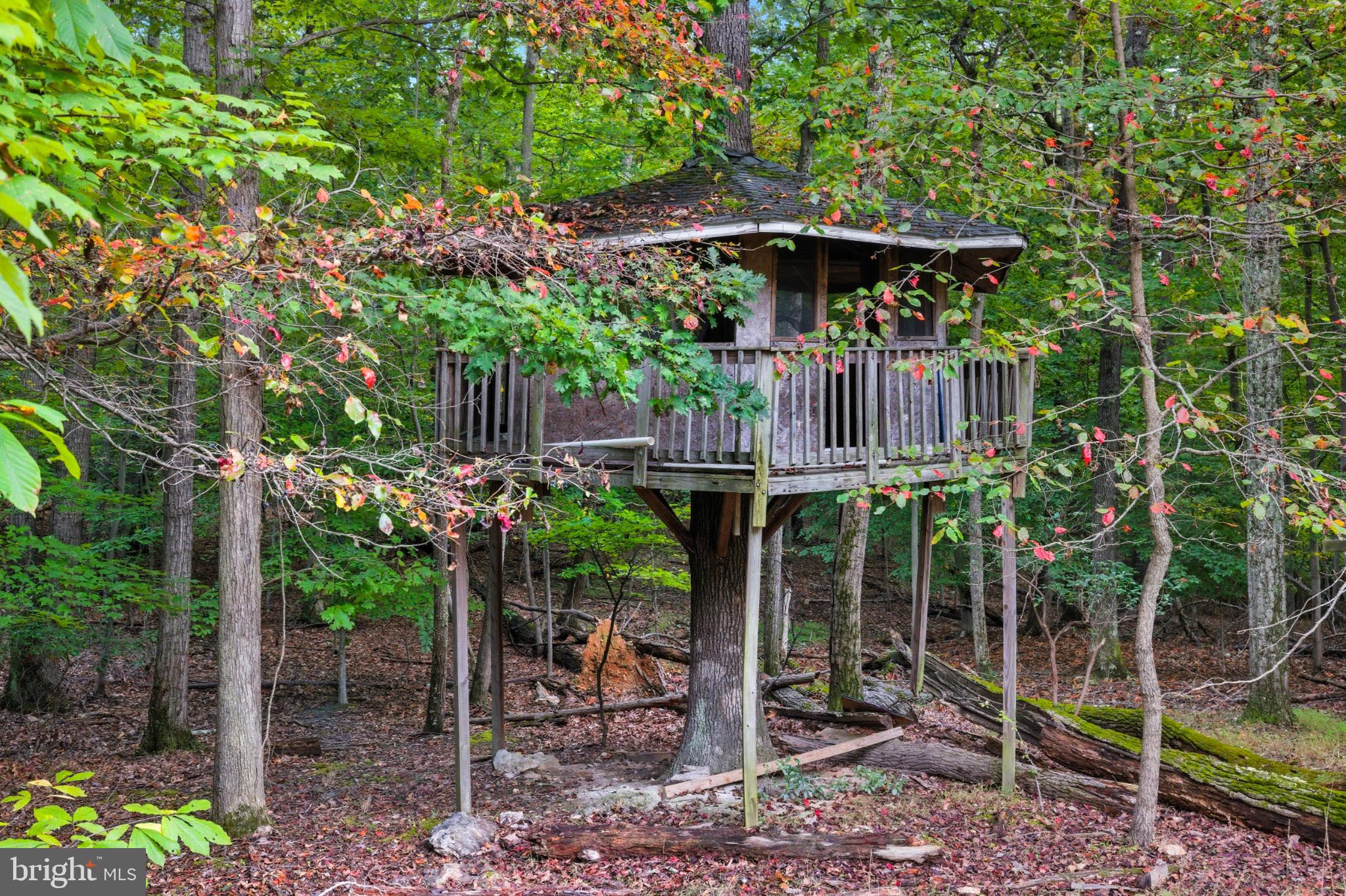 14388 WATERFORD WOODS COURT