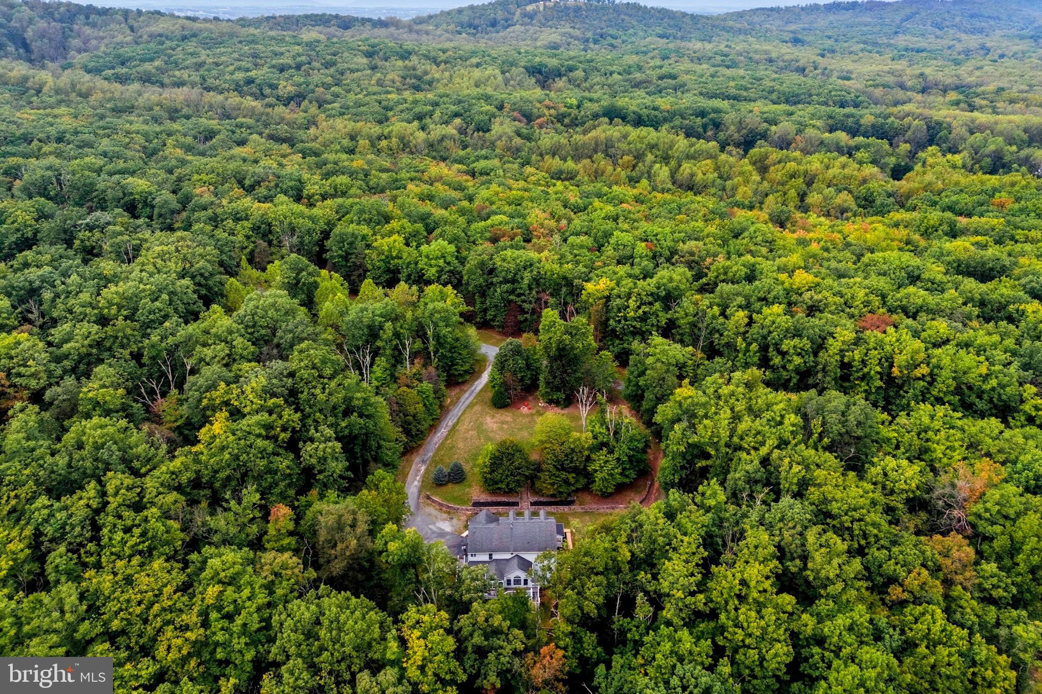 14388 WATERFORD WOODS COURT