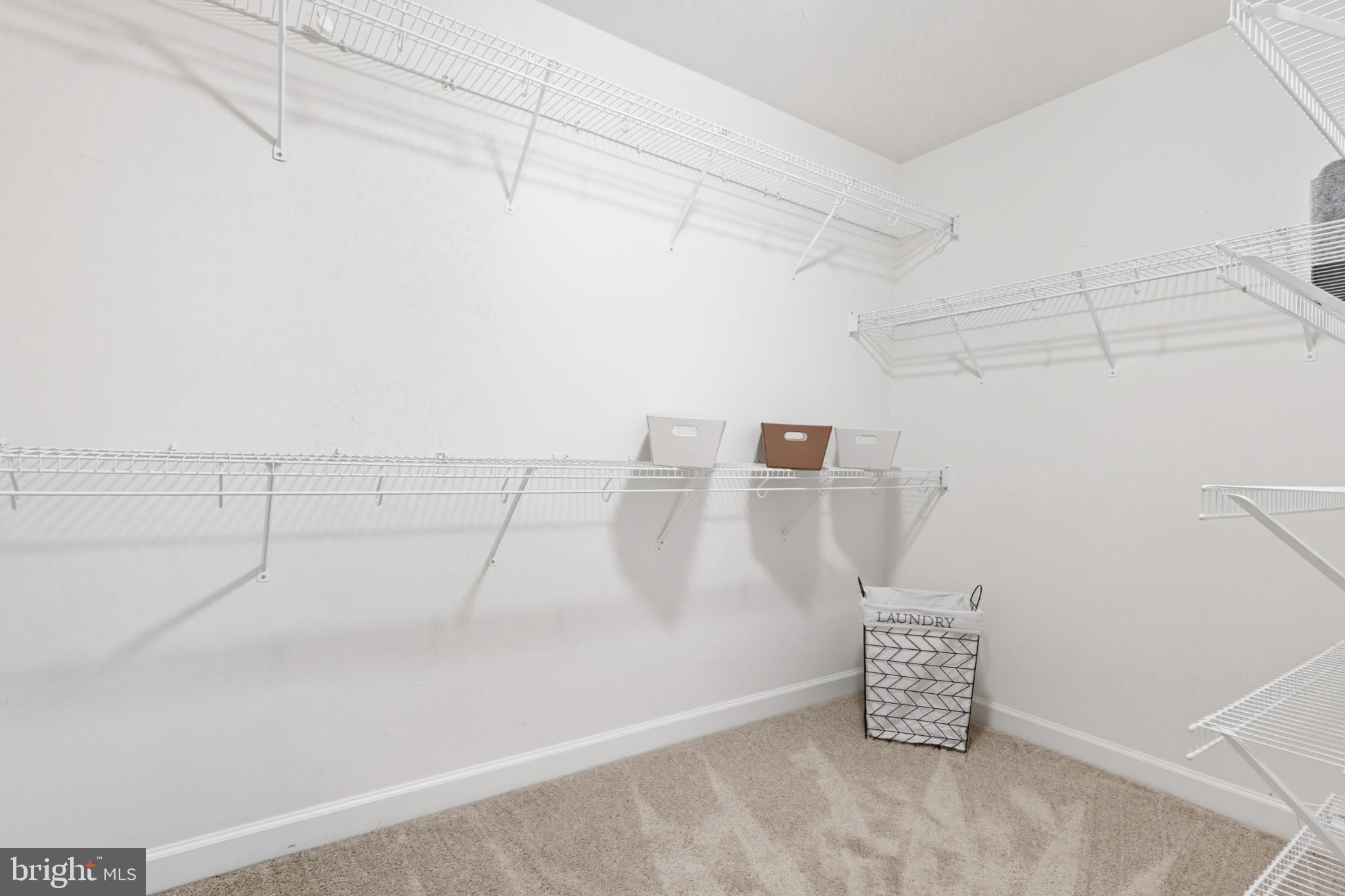 14388 WATERFORD WOODS COURT