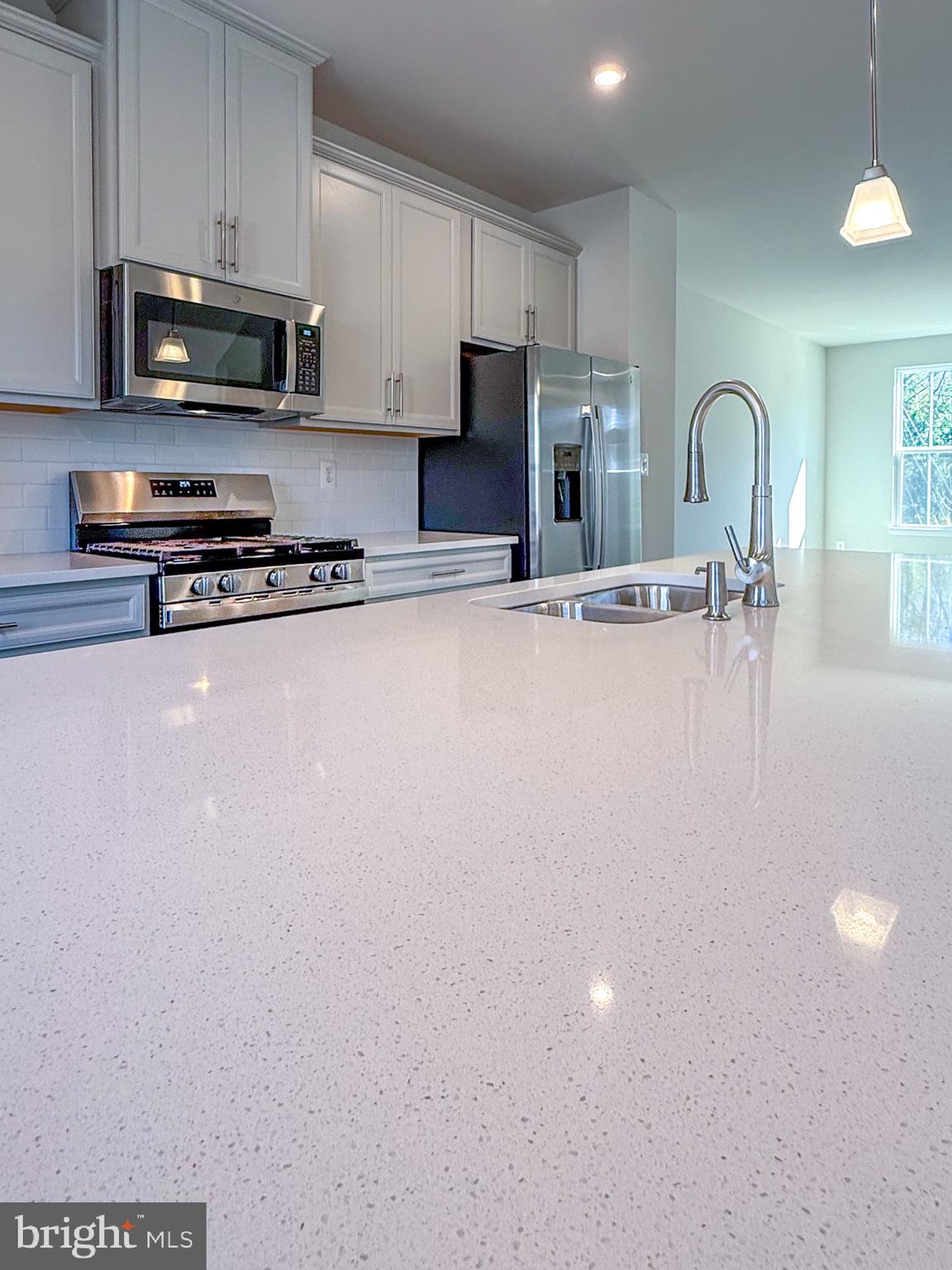 46271 MOUNT KELLOGG TERRACE