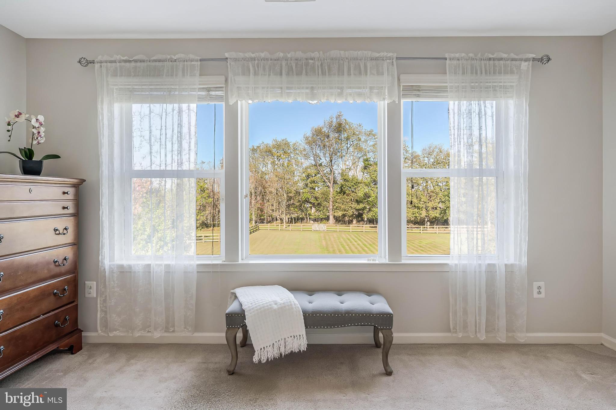 12080 SUNFLOWER FIELD PLACE