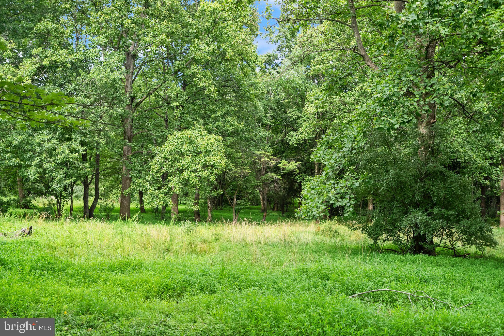 16720 SOMMERTIME
