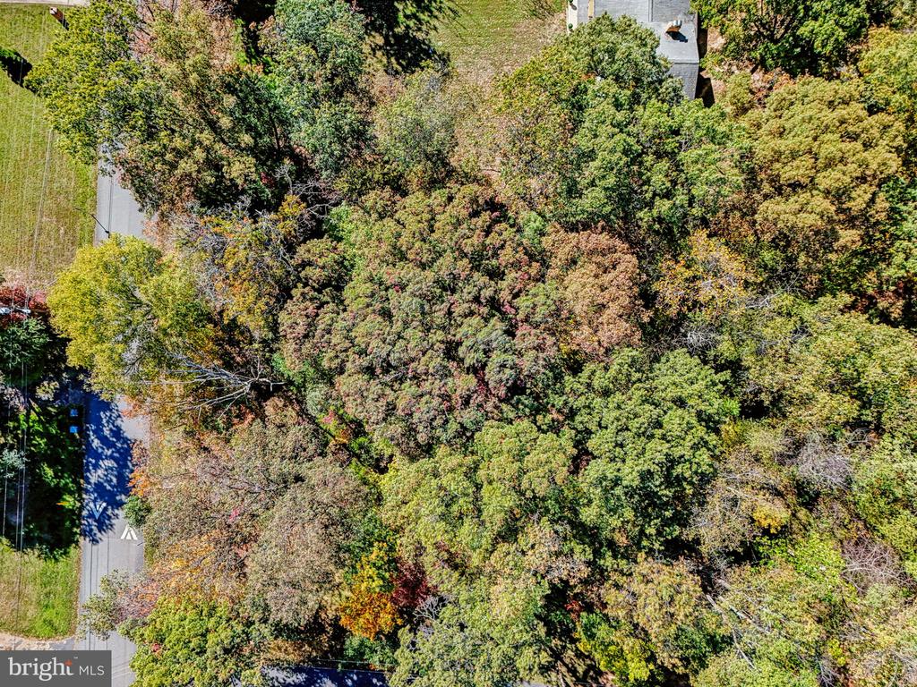 32 CEDAR DRIVE