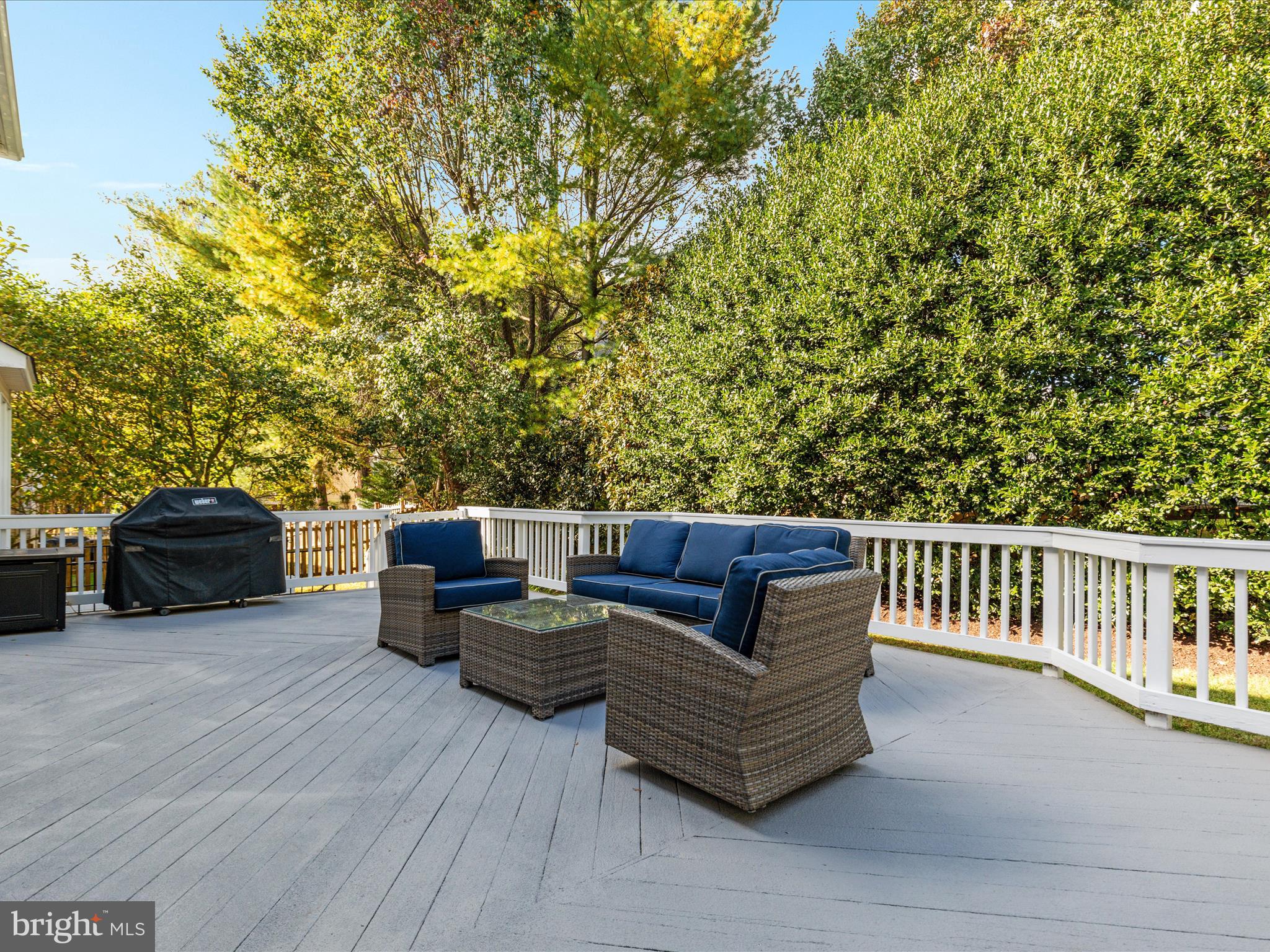 47190 BRASSWOOD PLACE