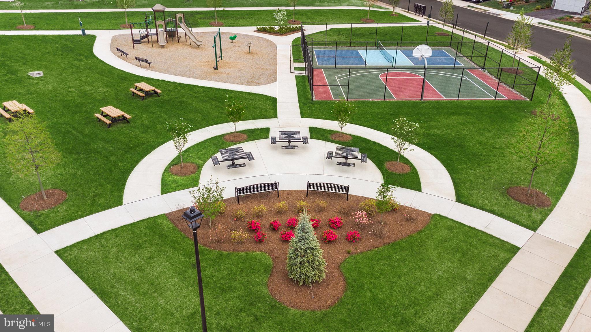 25593 RED CHERRY DRIVE