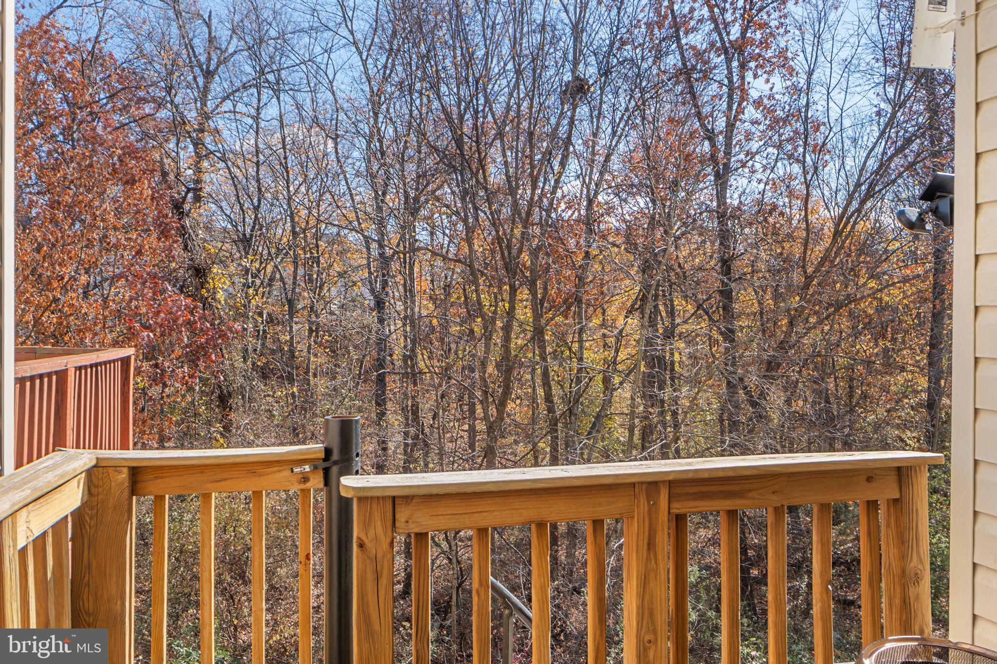 21360 SHADY WOOD TERRACE