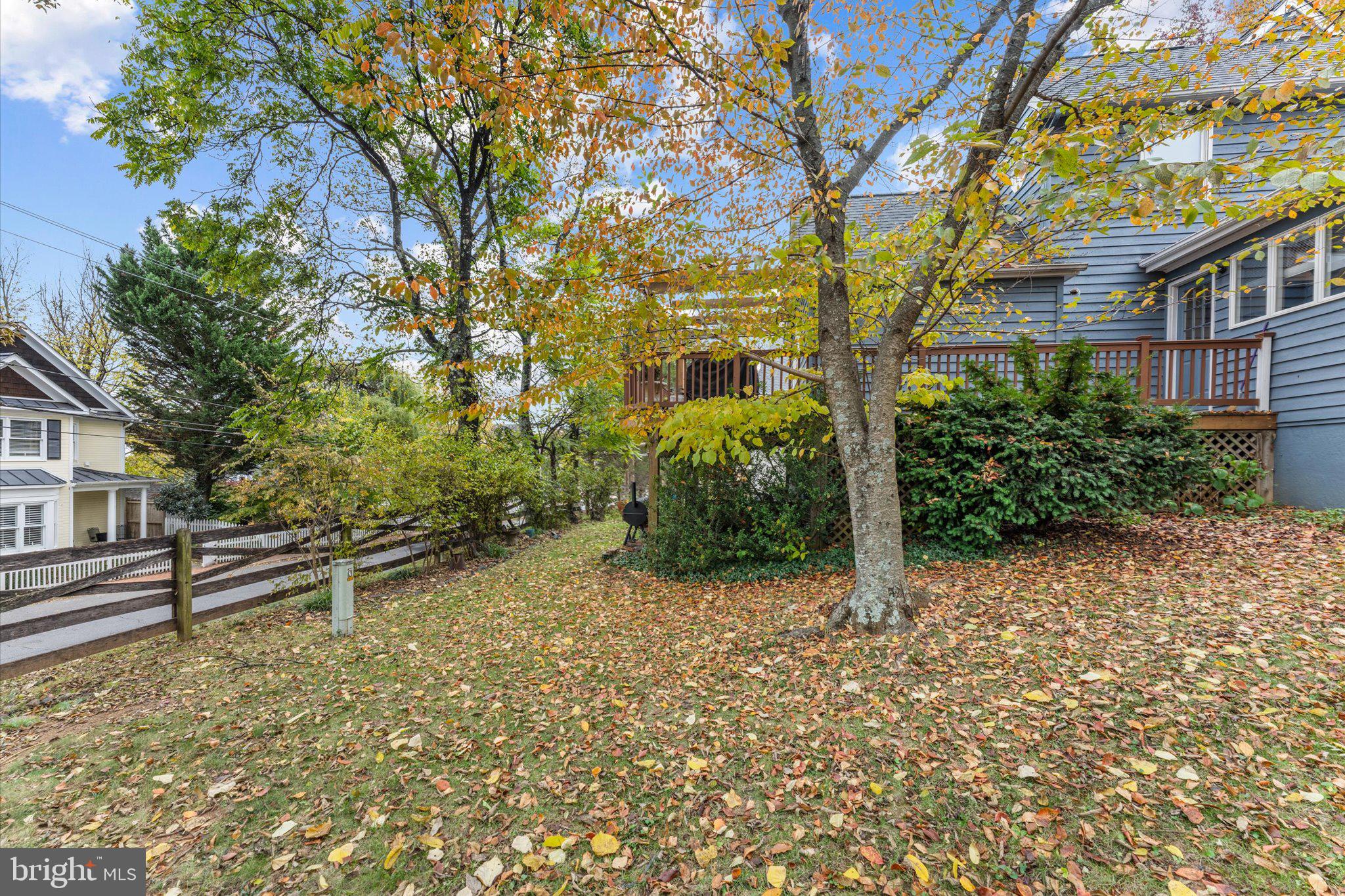 316 LOUDOUN STREET SW