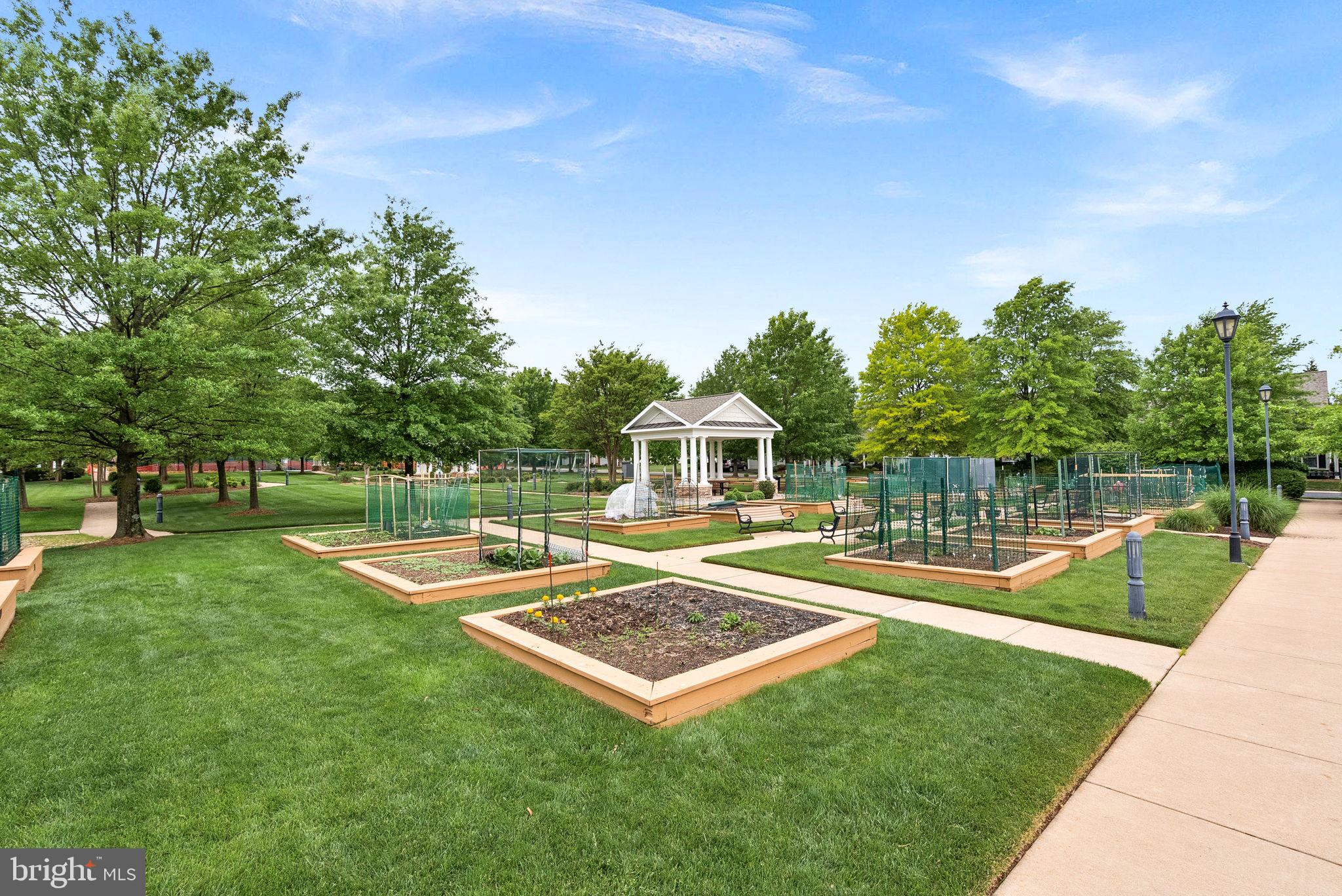 20742 ADAMS MILL PLACE