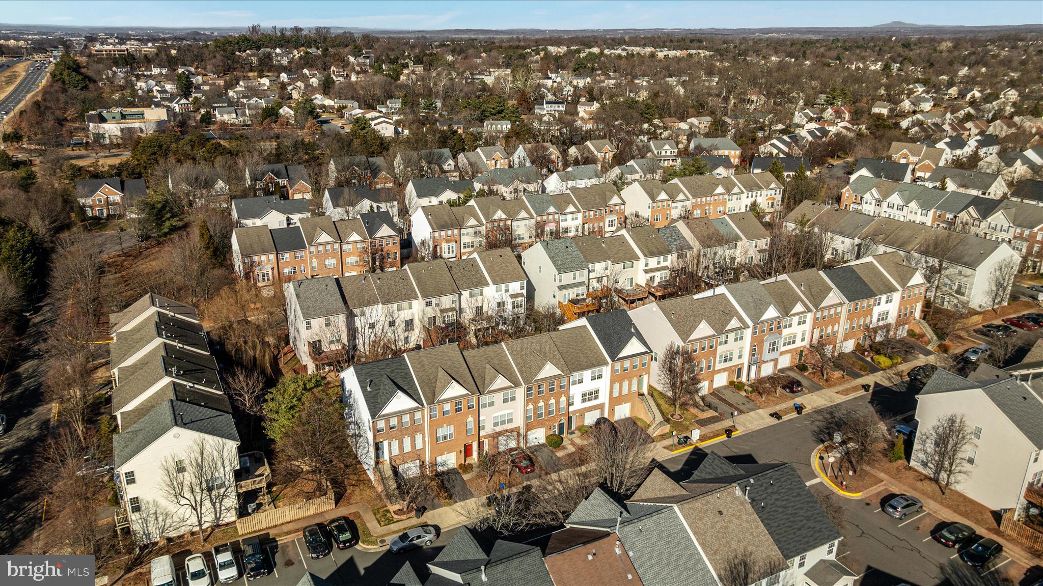 21491 RUSTY BLACKHAW SQUARE